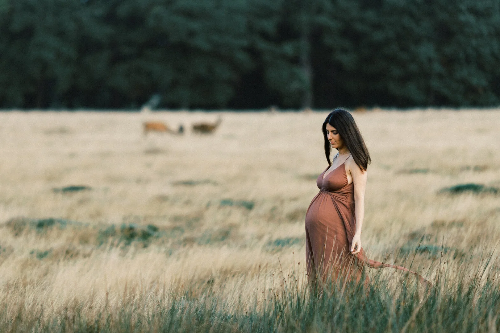 A glowing expectant mother cupping her baby bump in the tall, wild grass of Richmond Park during a golden sunset.