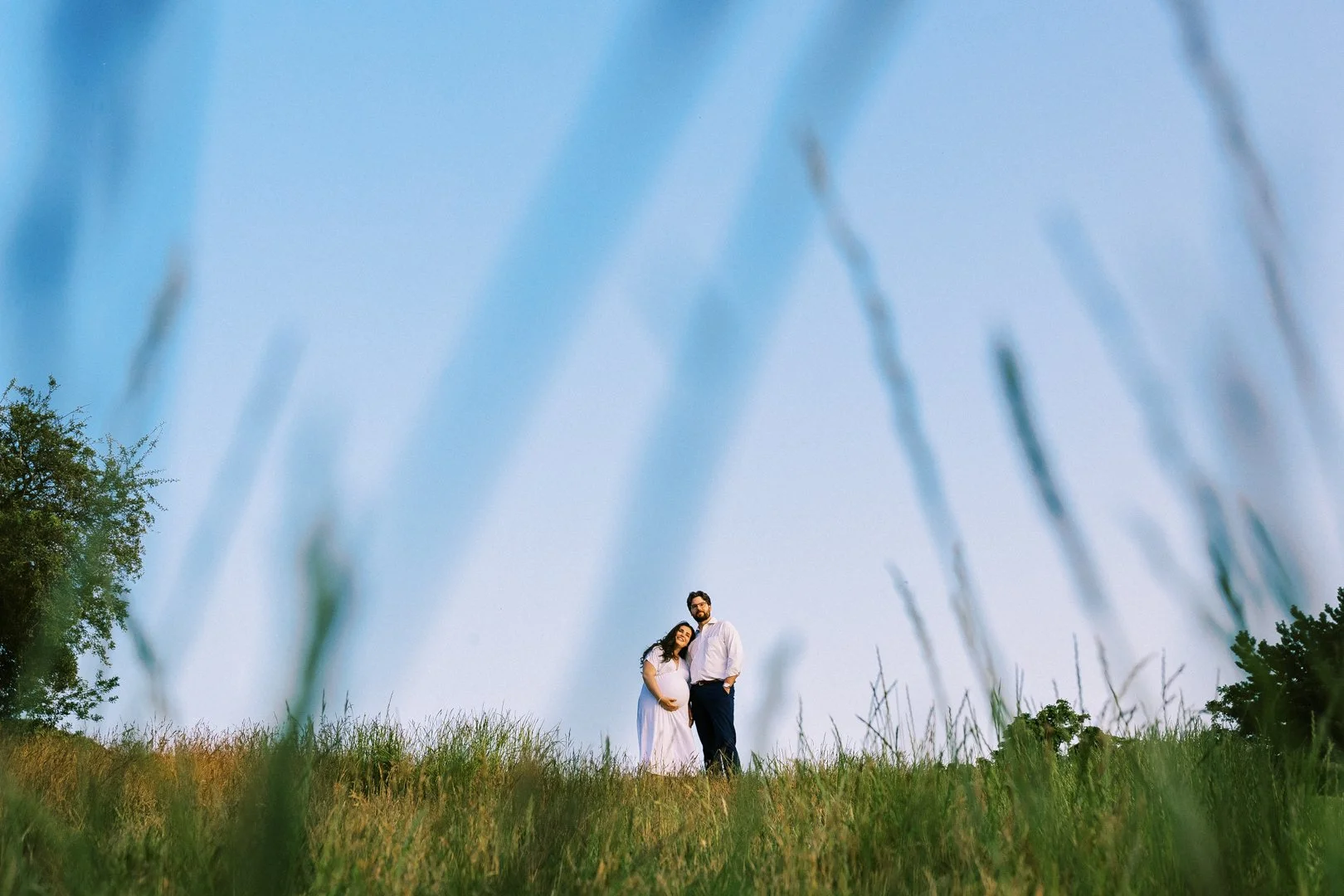 A glowing expectant mother cupping her baby bump in the tall, wild grass of Greenwich Park during a golden sunset.