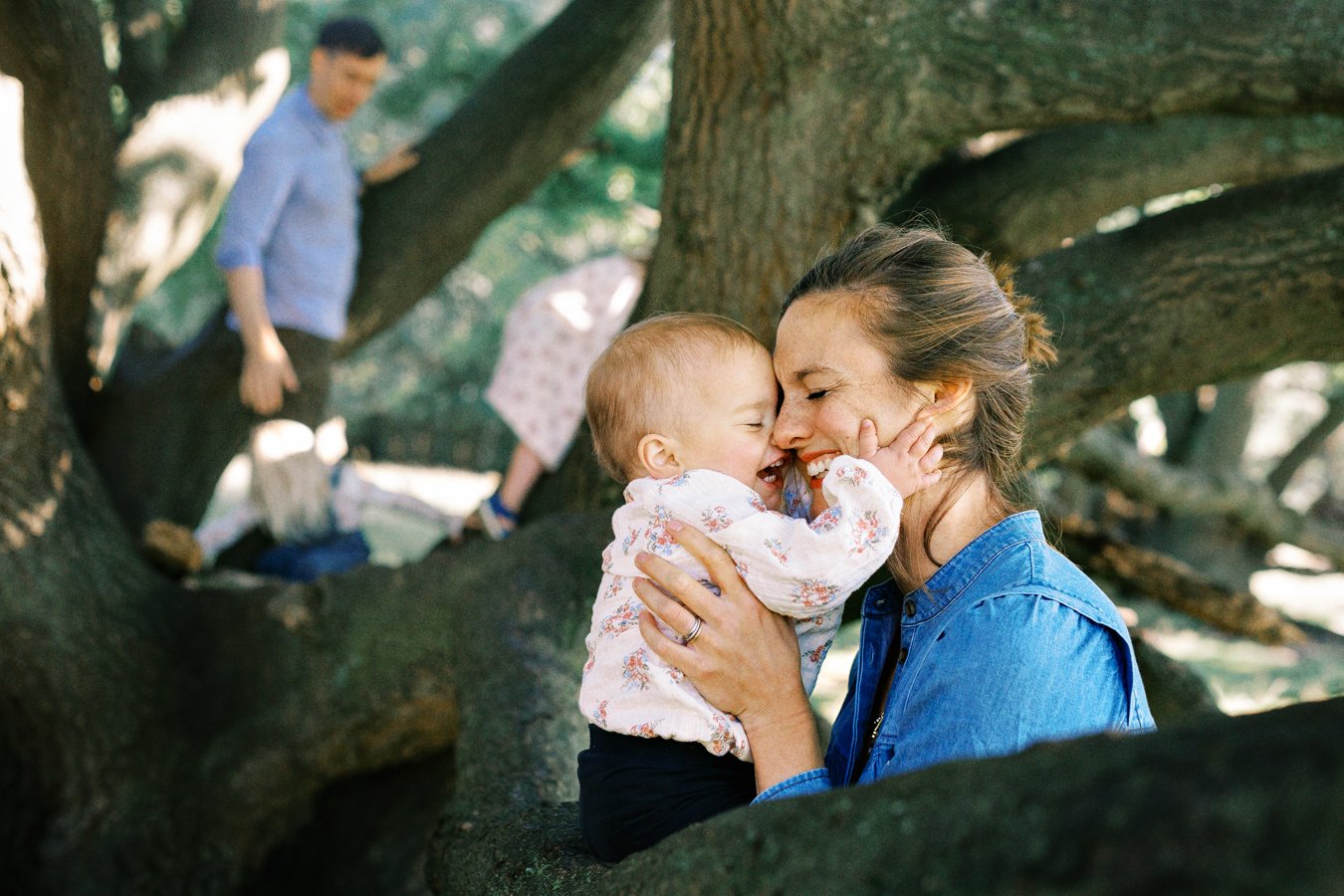   Family photo shoot on Hampstead Heath in North London  