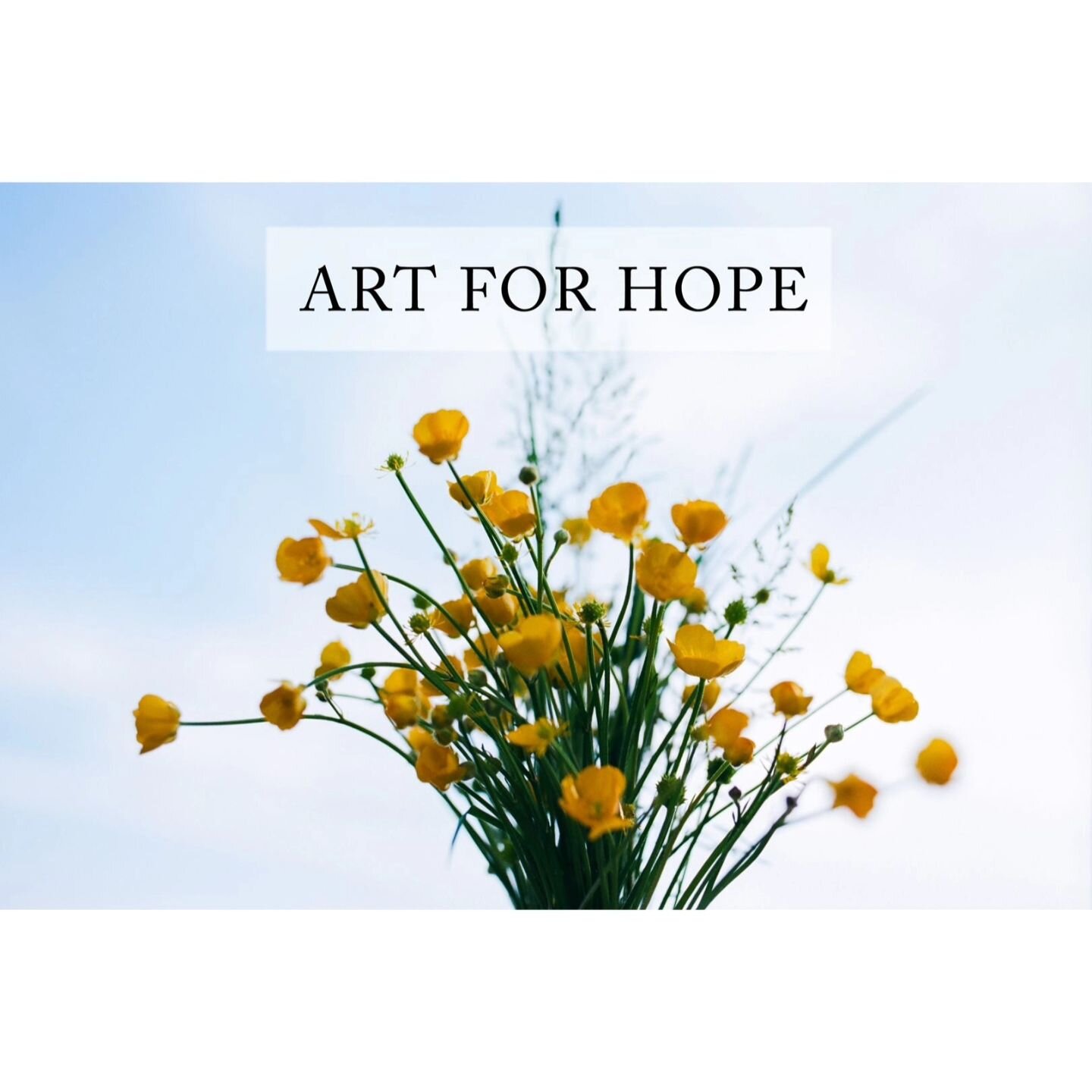 A huge thank you to all those that booked ART FOR HOPE family sessions. In just a few days, &pound;1800 have been donated to organisations providing emergency assistance to families and animals in Gaza.

Sharing this experience with you is hopefully 