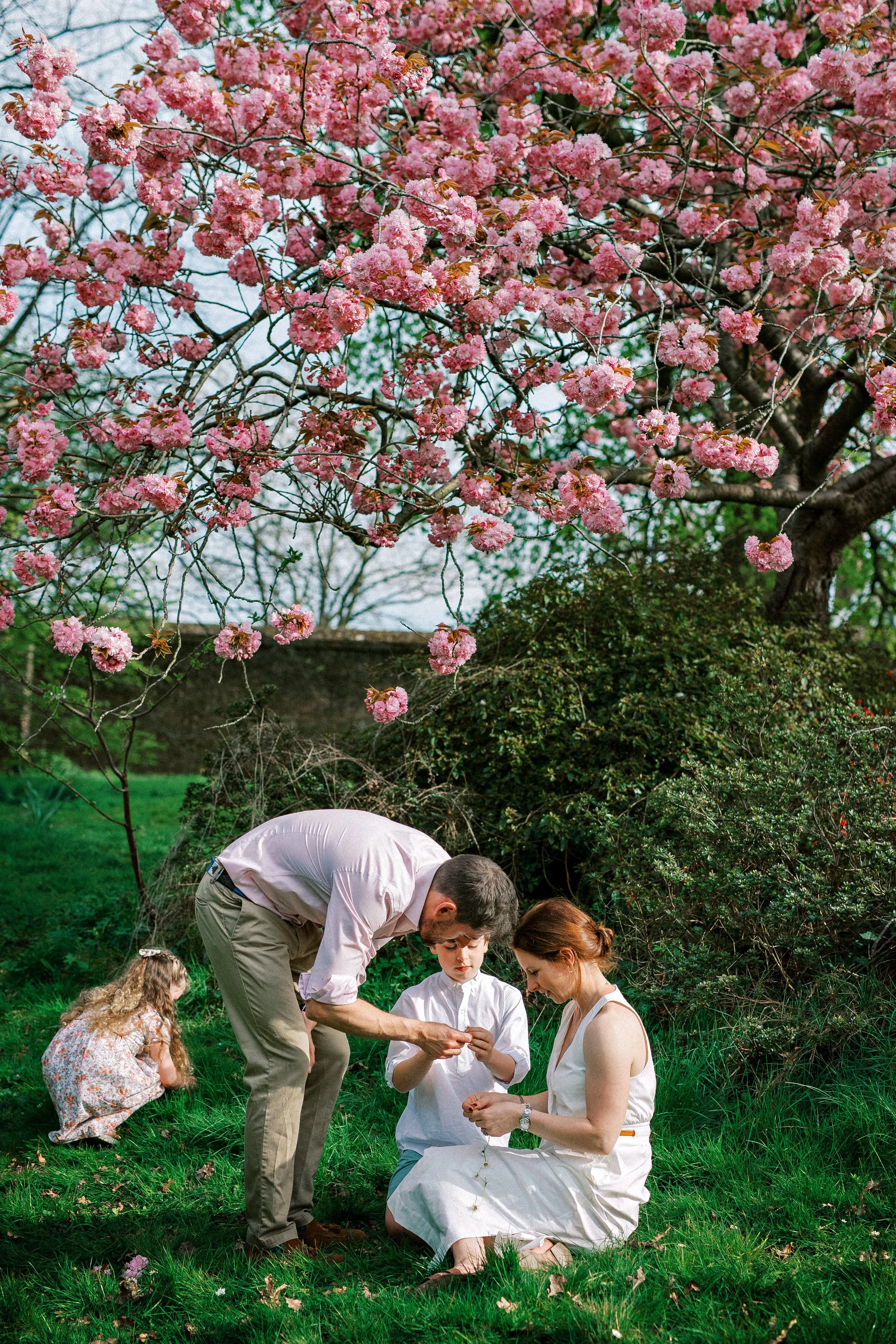 Spring Family photography in Greenwich with cherry blossoms.jpg