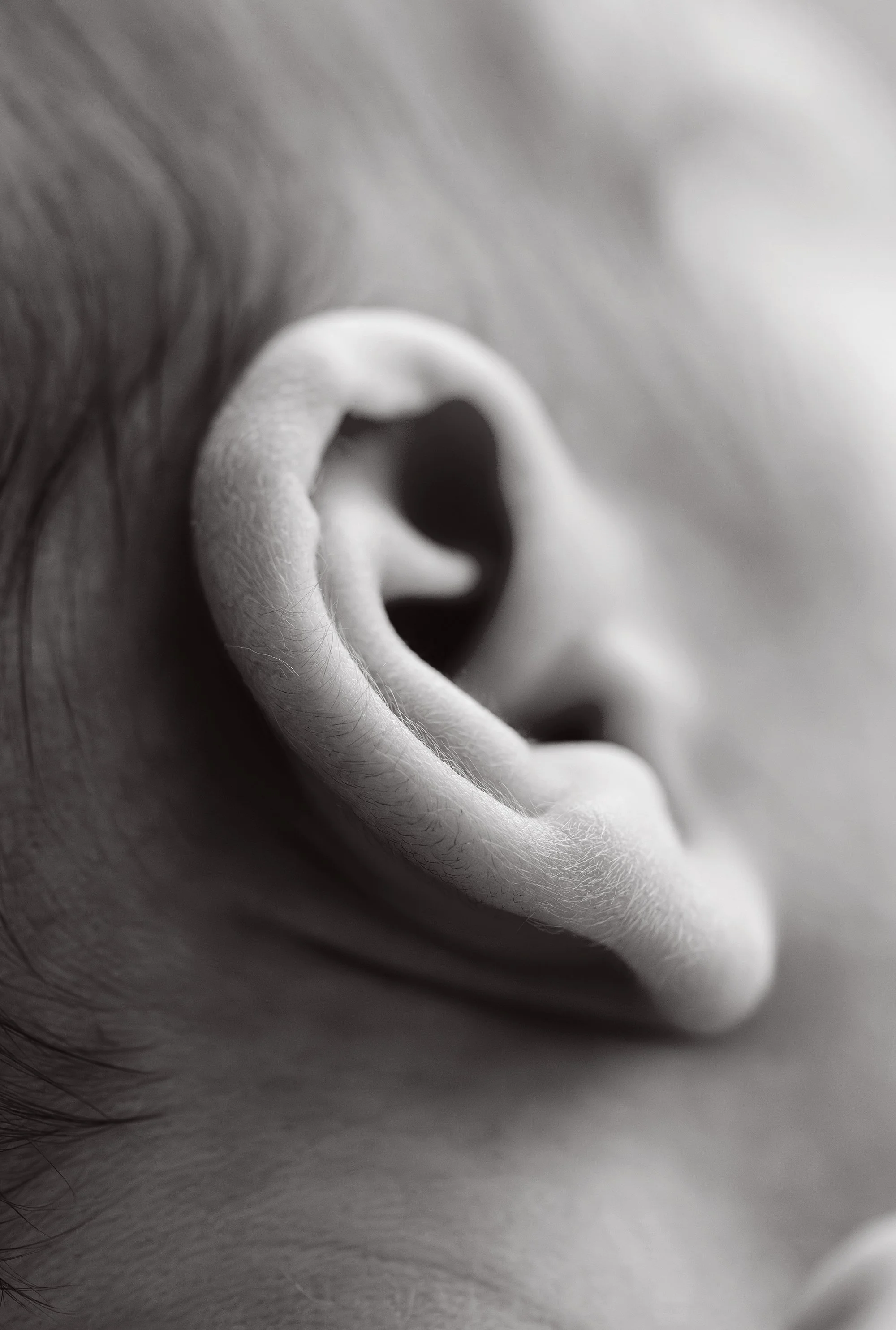 Maddy Dore - Madi Lee Photography56_WEB.jpg