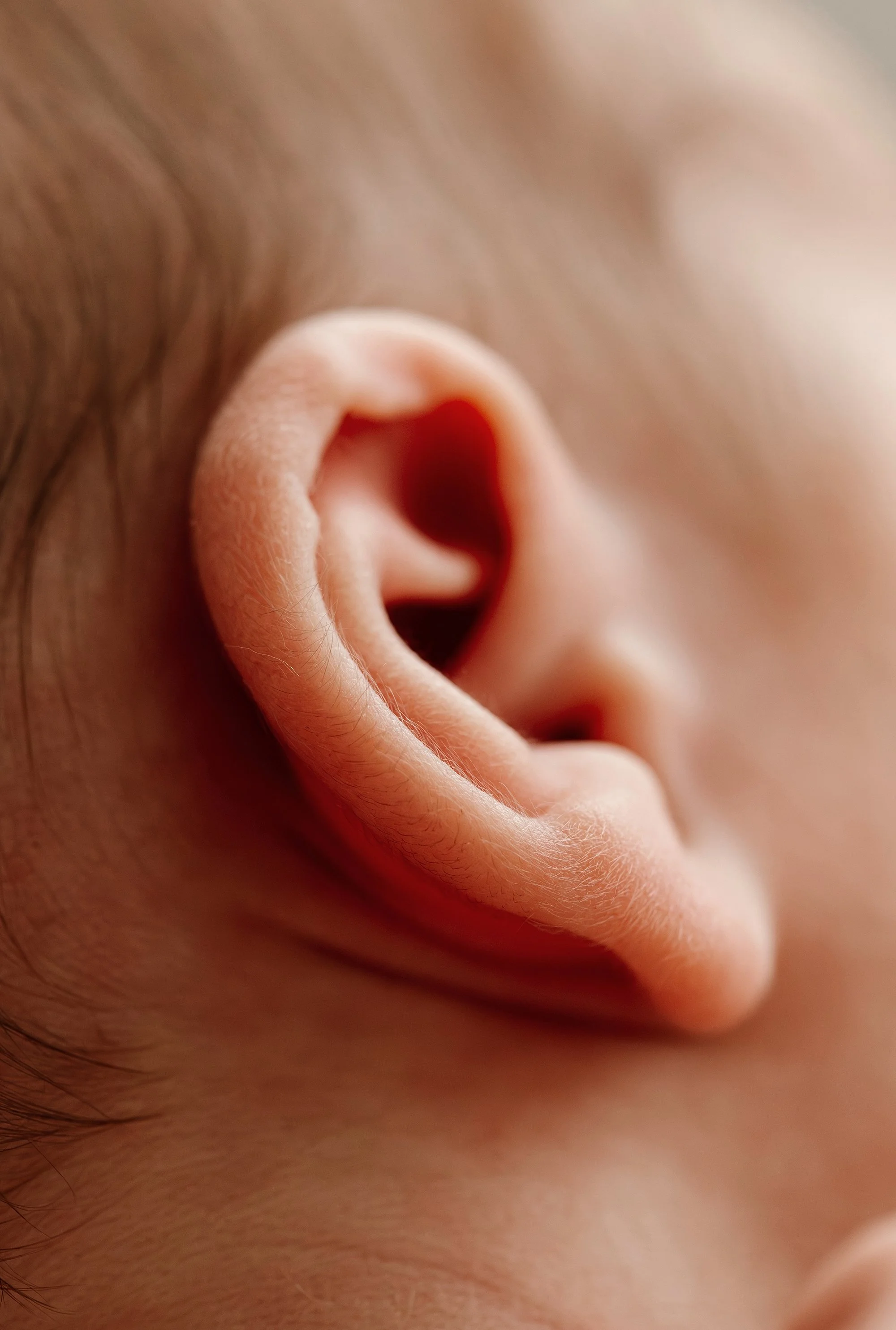 Maddy Dore - Madi Lee Photography57_WEB.jpg