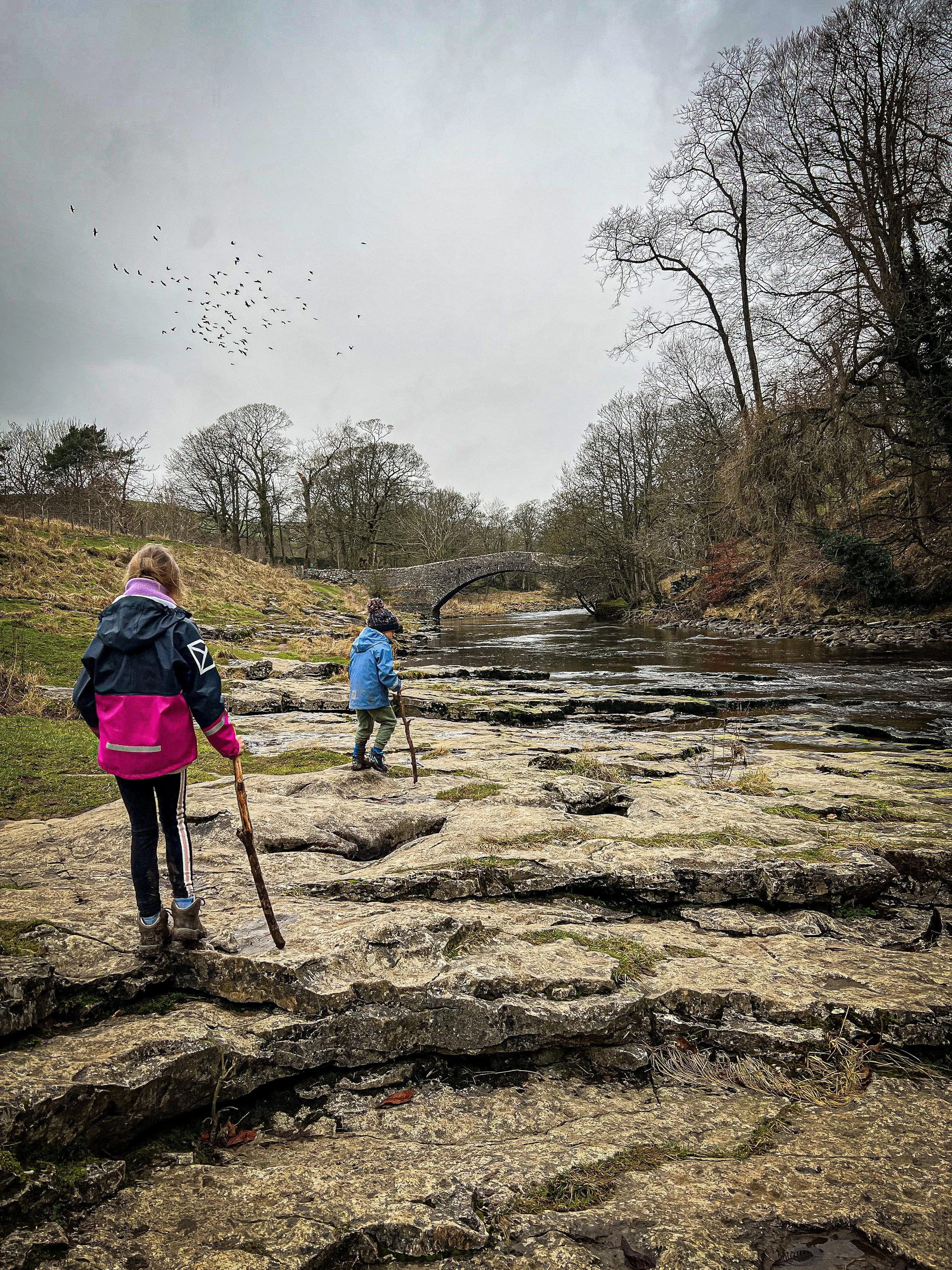 The bridge at Stainforth Force