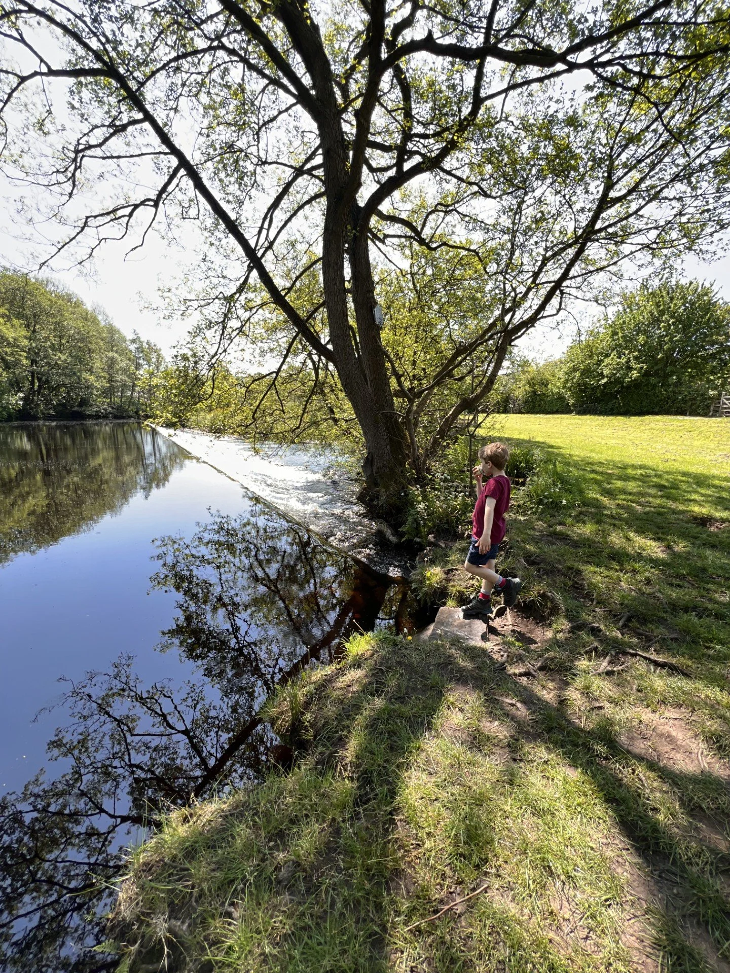Child standing next to a weird with trees behind and river next to him