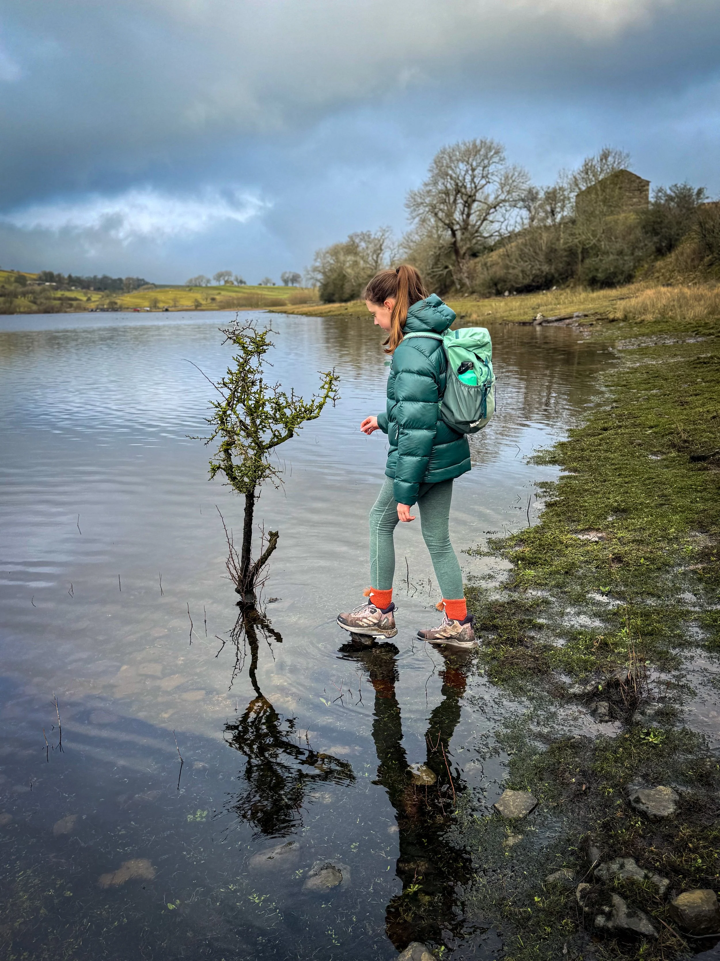 Child standing on the edge of a lake with a small tree in the water