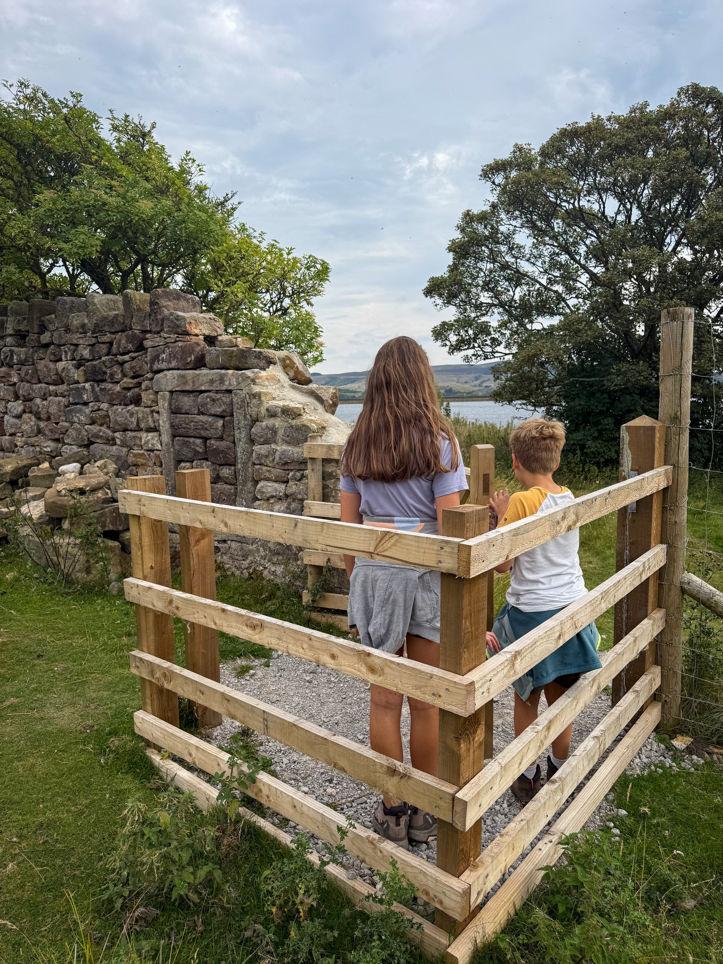 Children walking through a wooden kissing gate in a stone wall with trees