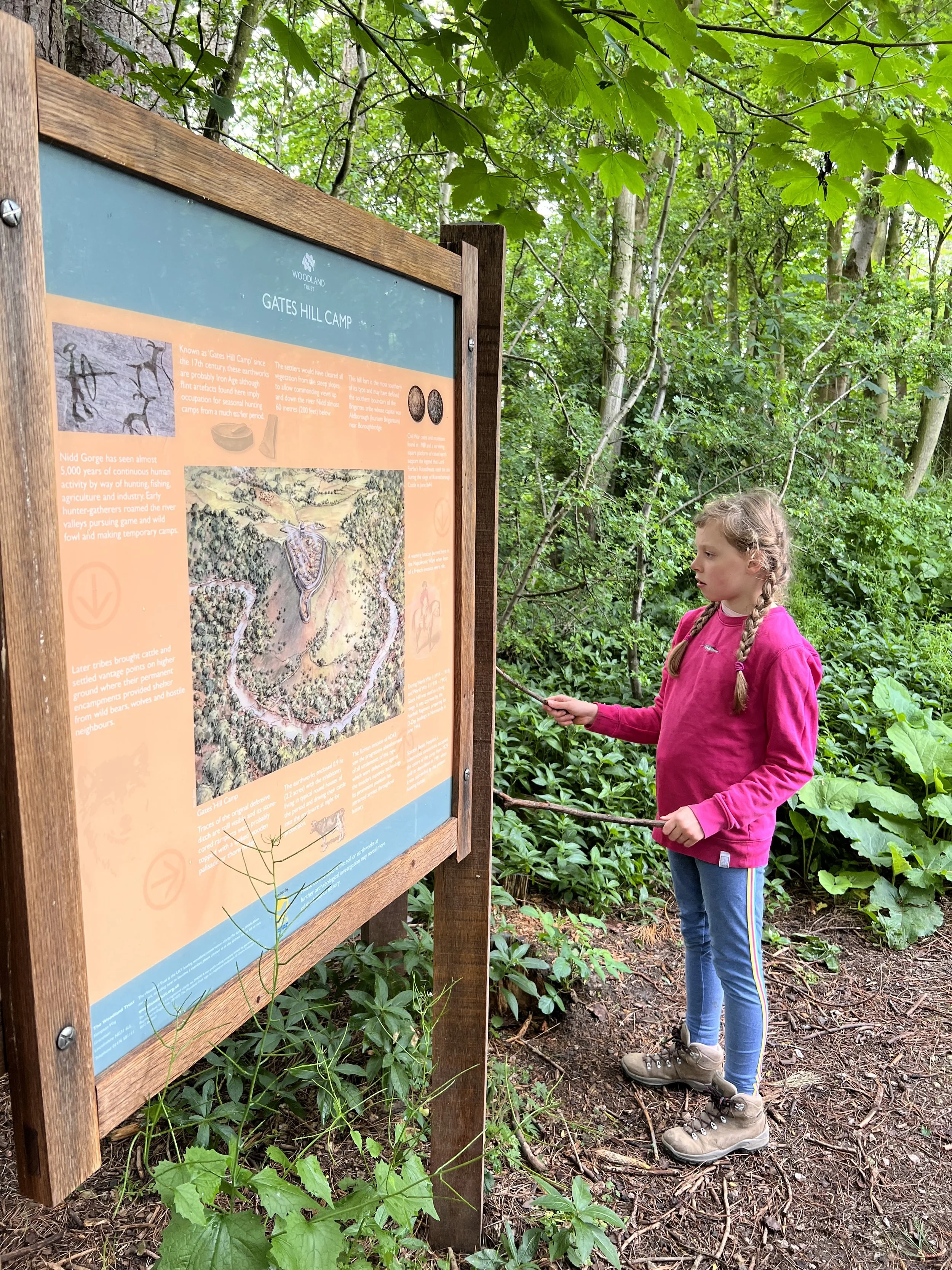 Child looking at an information board