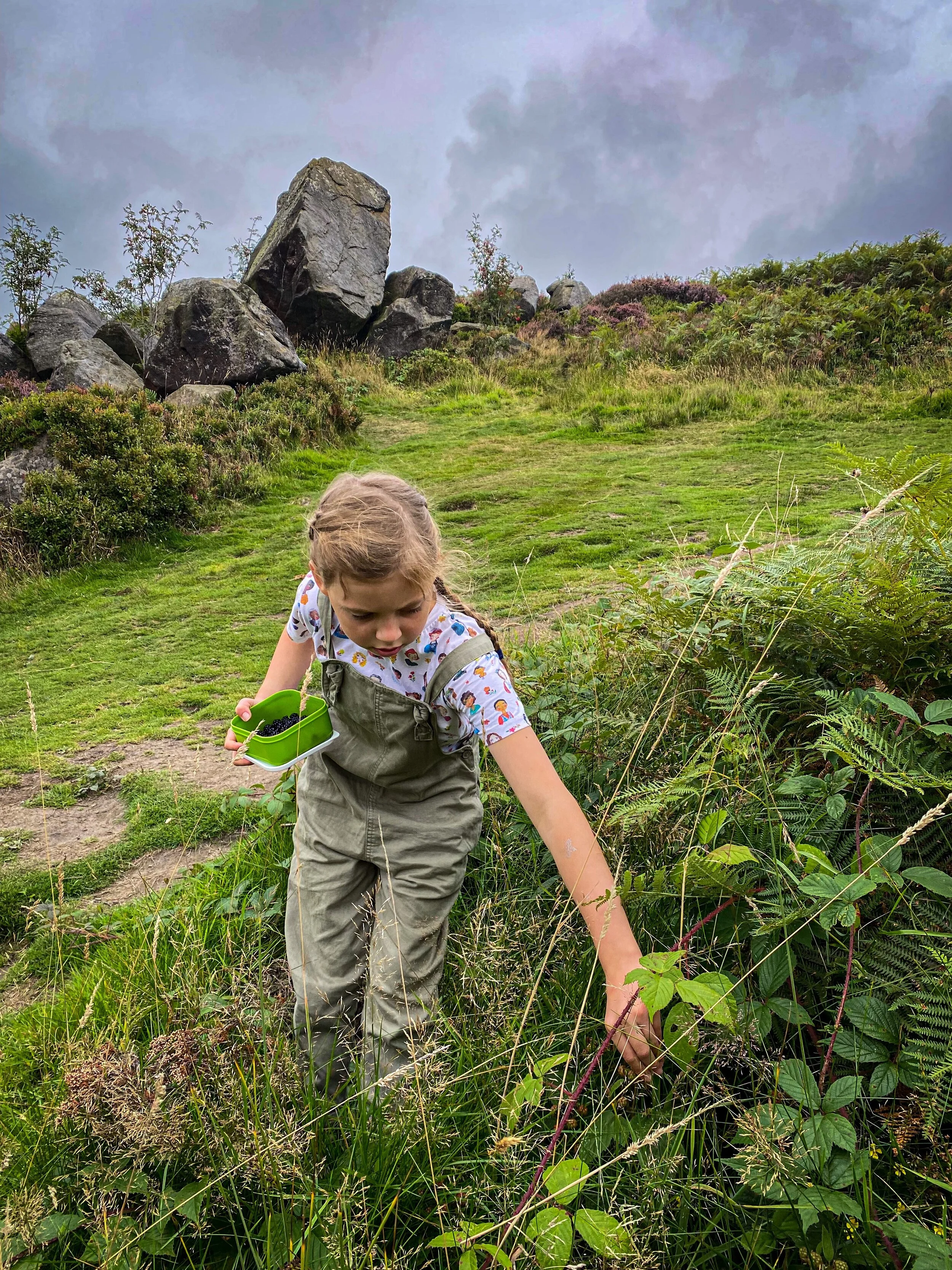 Blackberry Picking with Kids 4.jpg