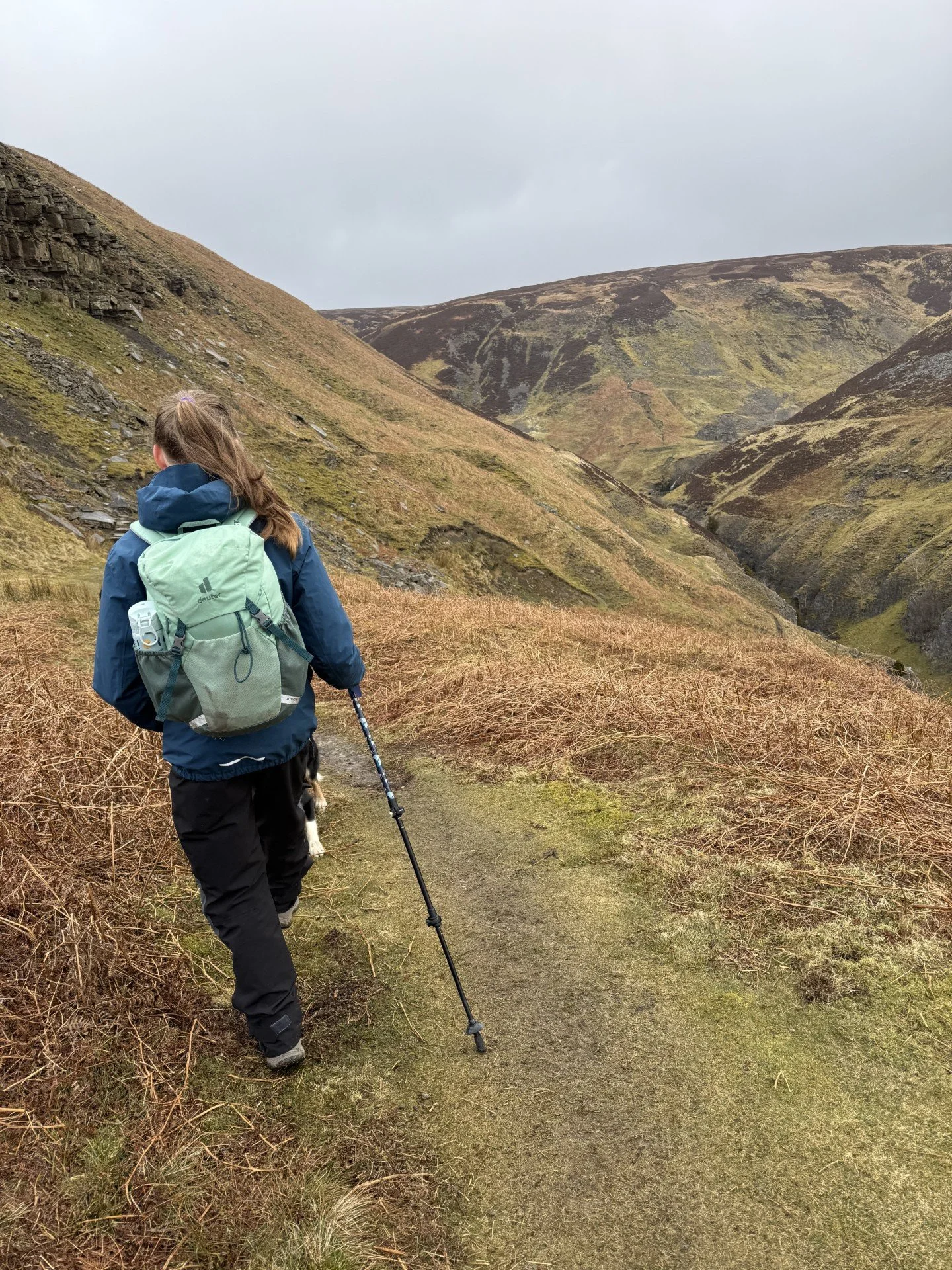 Child walking with hiking pole with blue rucksack towards a deep gill in the moors beyond