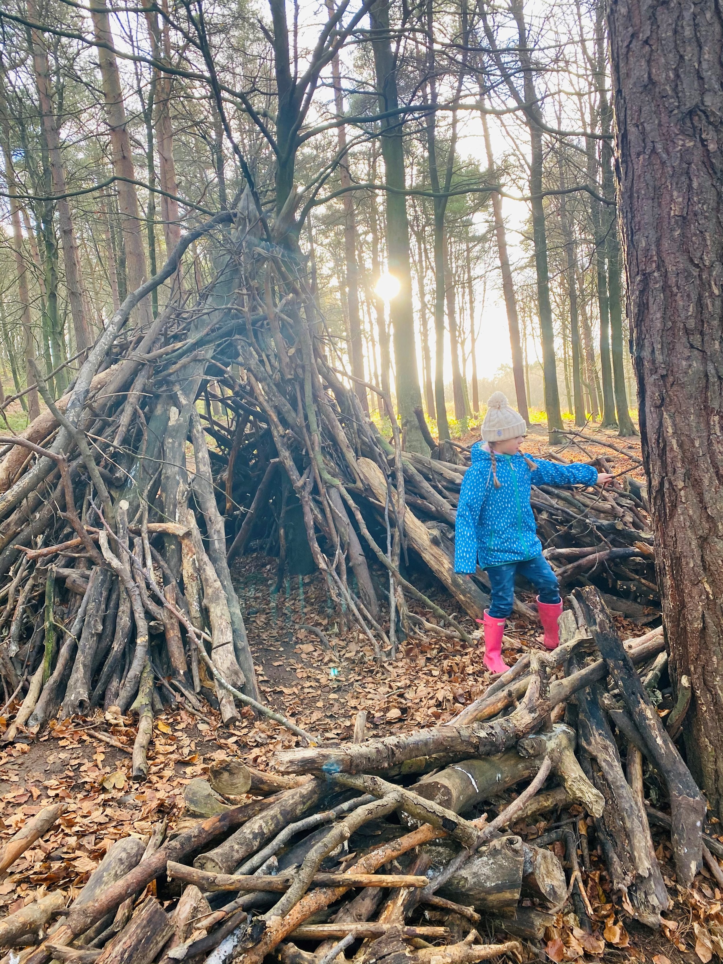 The epic stick den on the Otley Chevin