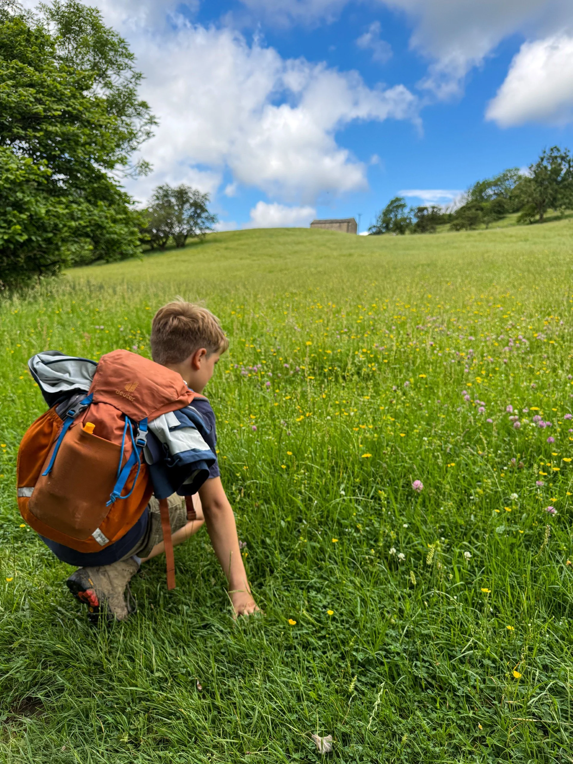 Child sat next to wildflowers with a farm building on the hill and trees each side