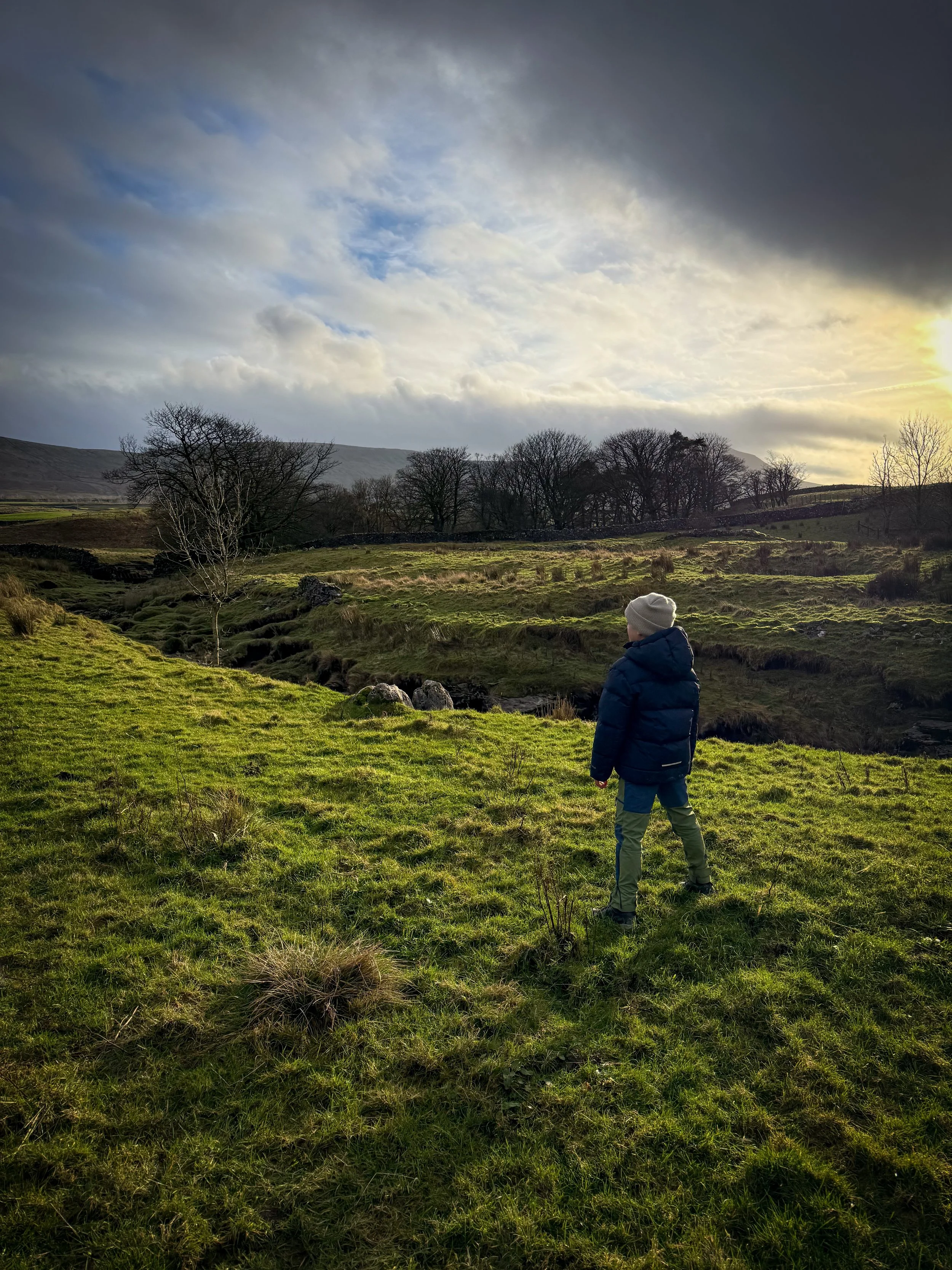 Standing next to a stream bed with trees and winter sky