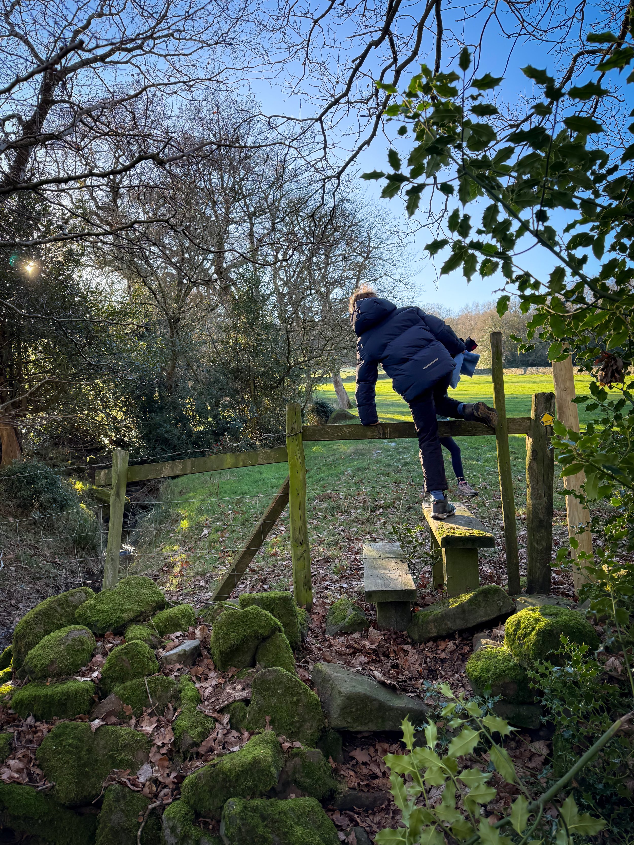 Child climbing stile into field with trees behind