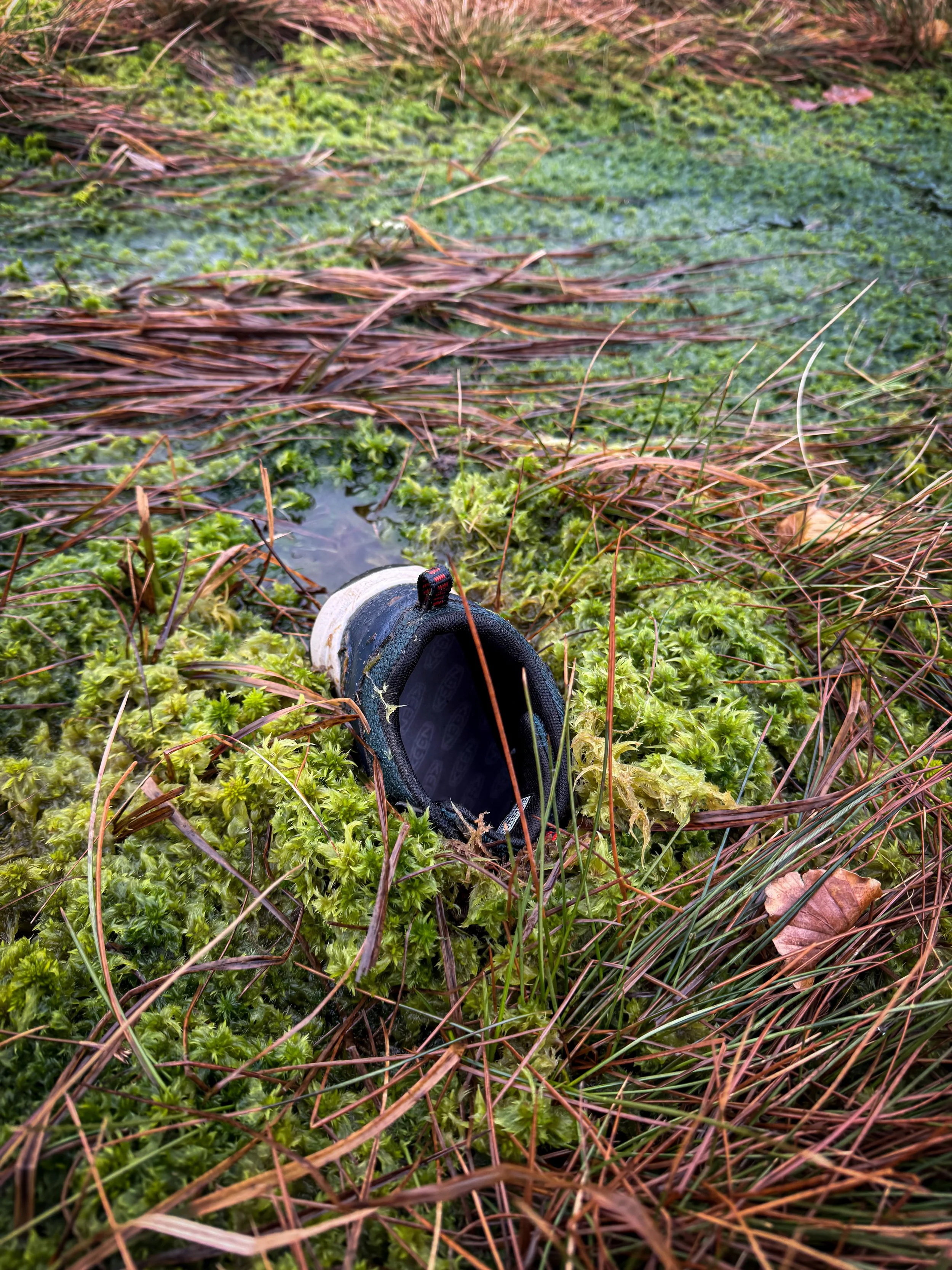 A childs hiking boot stuck in mud and moss