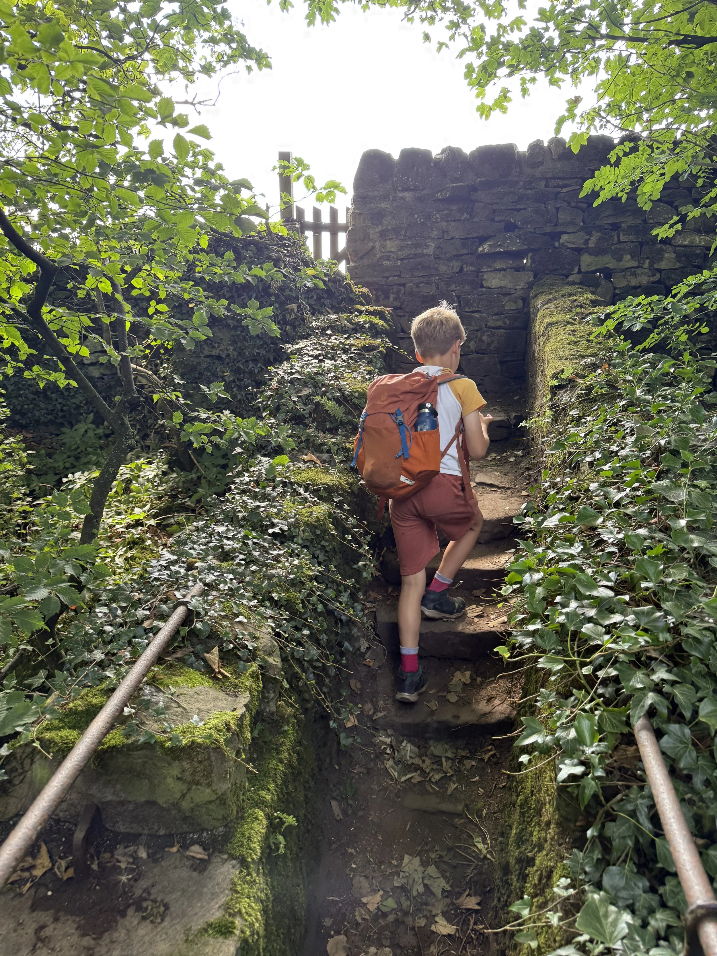 Child walking up steps to a gate in trees