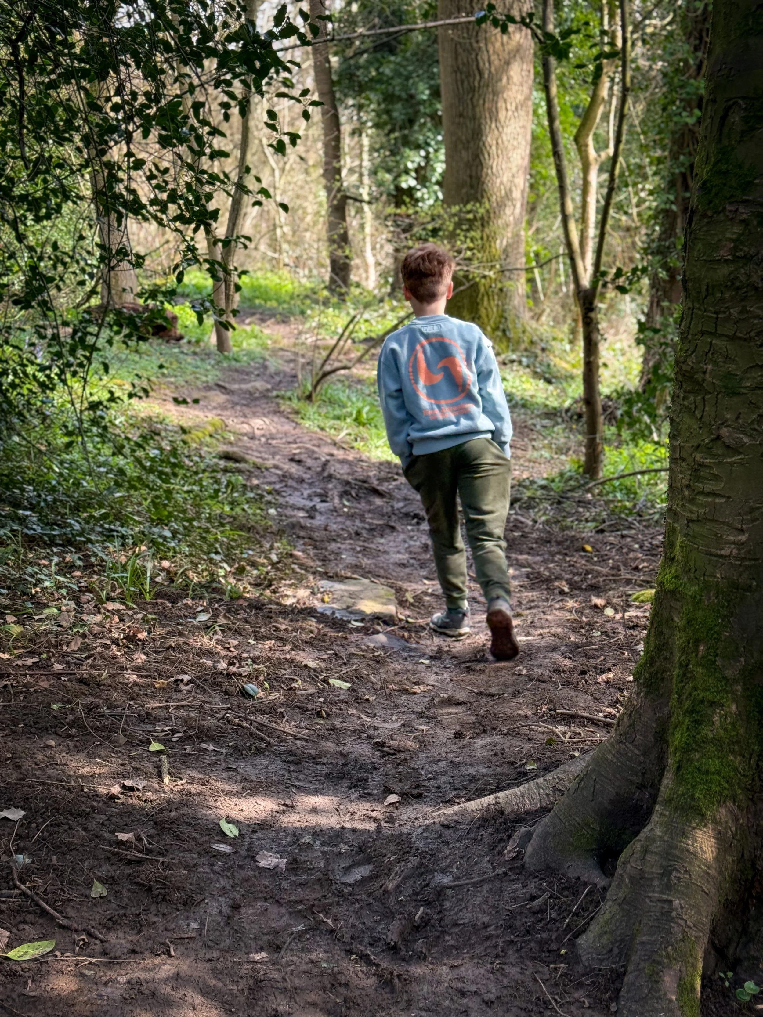 Boy walking through a woodland path