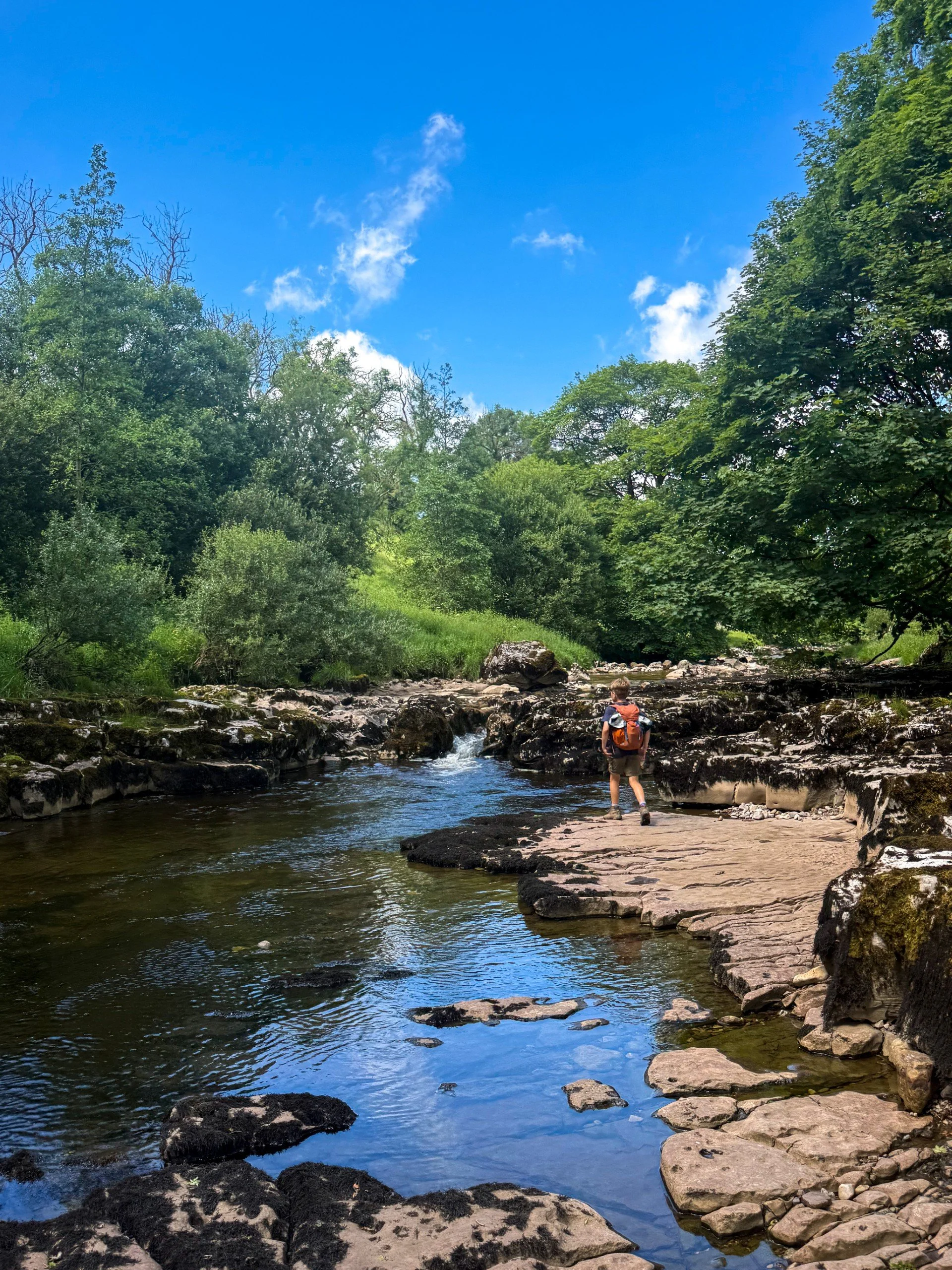 Child walking alongside a beck under blue skies with shrubs lining each side