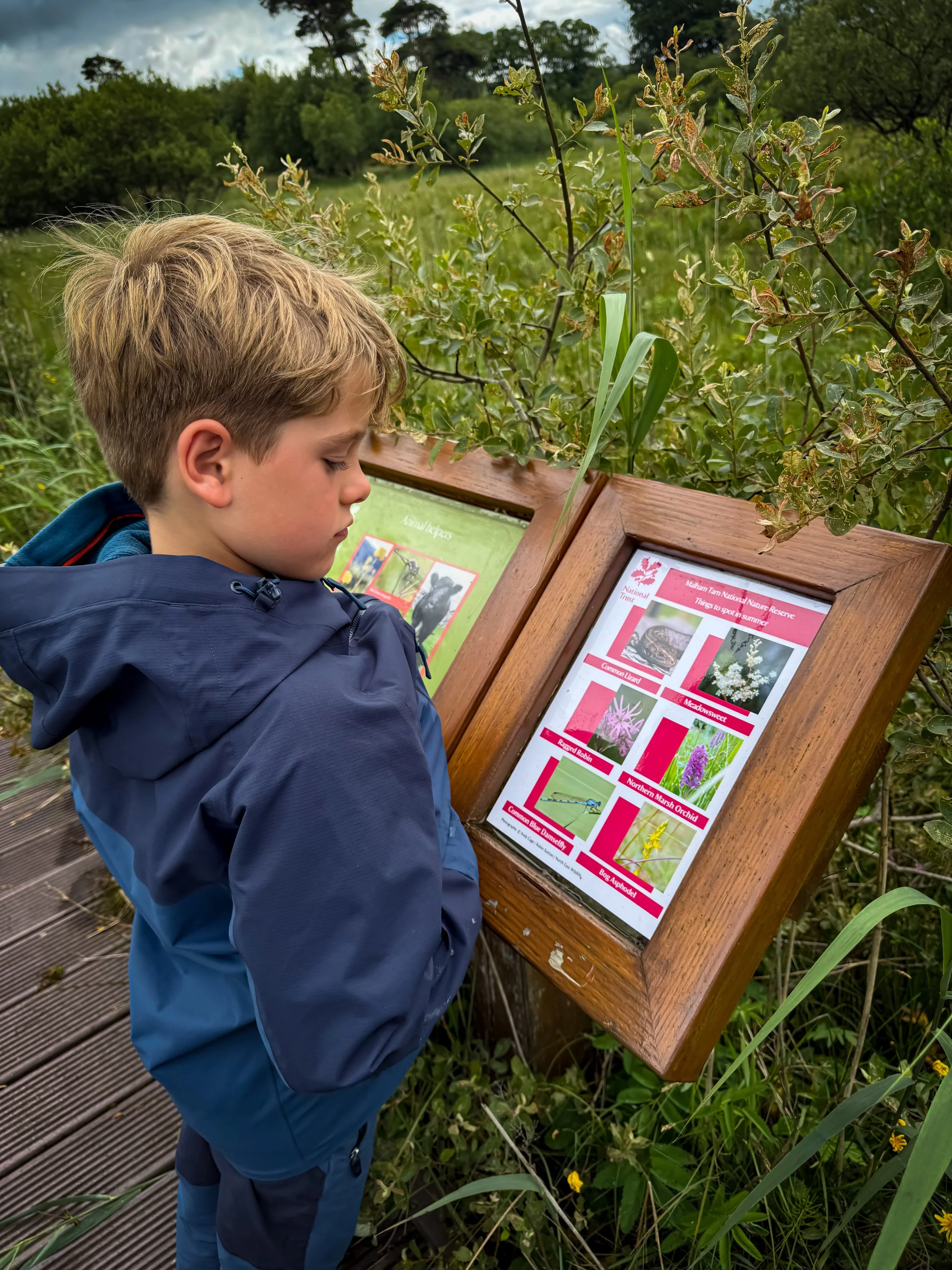 One of the information boards on the nature reserve