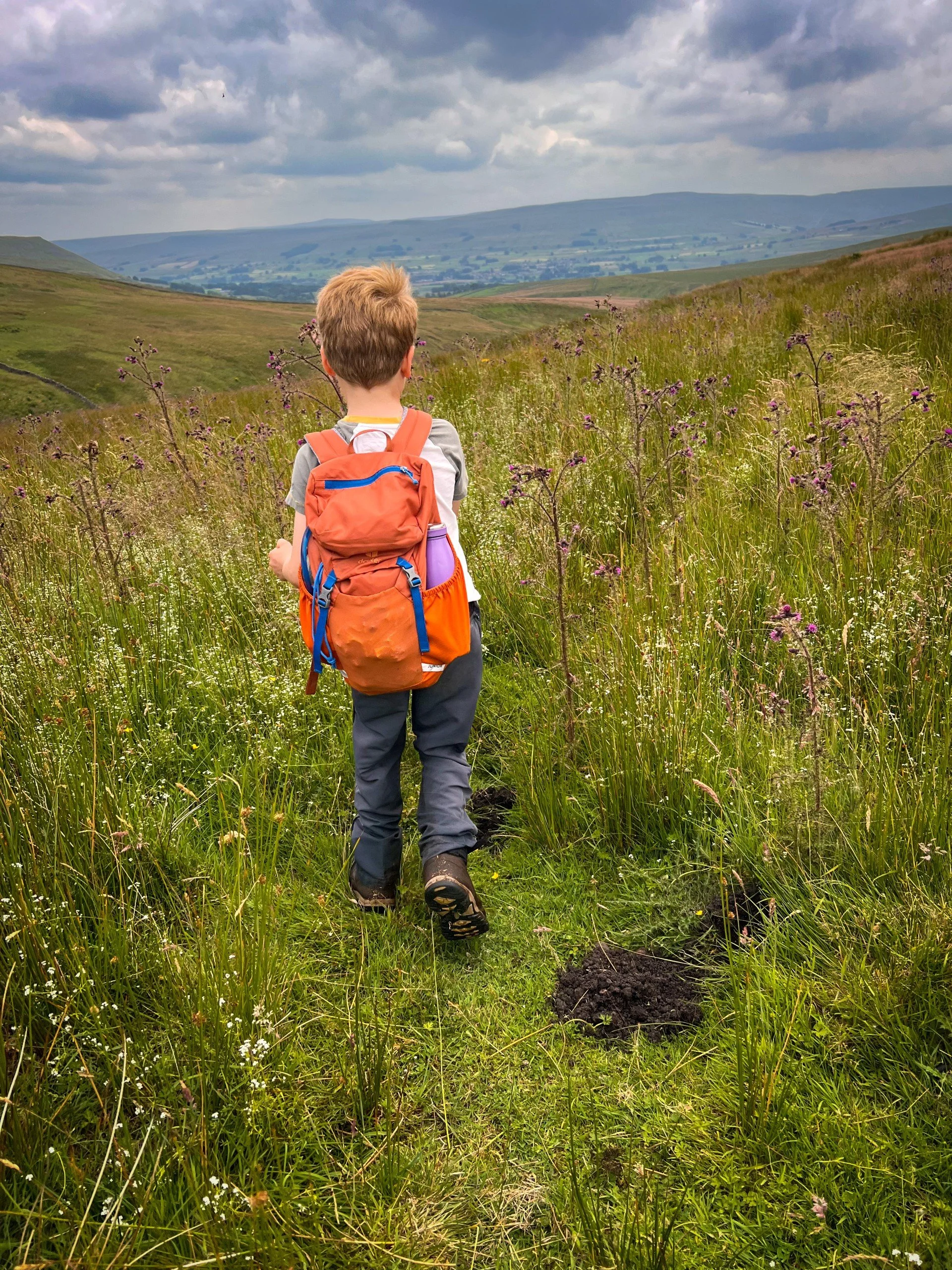 Child walking along a public bridleway surrounded by overgrown grass and flowers