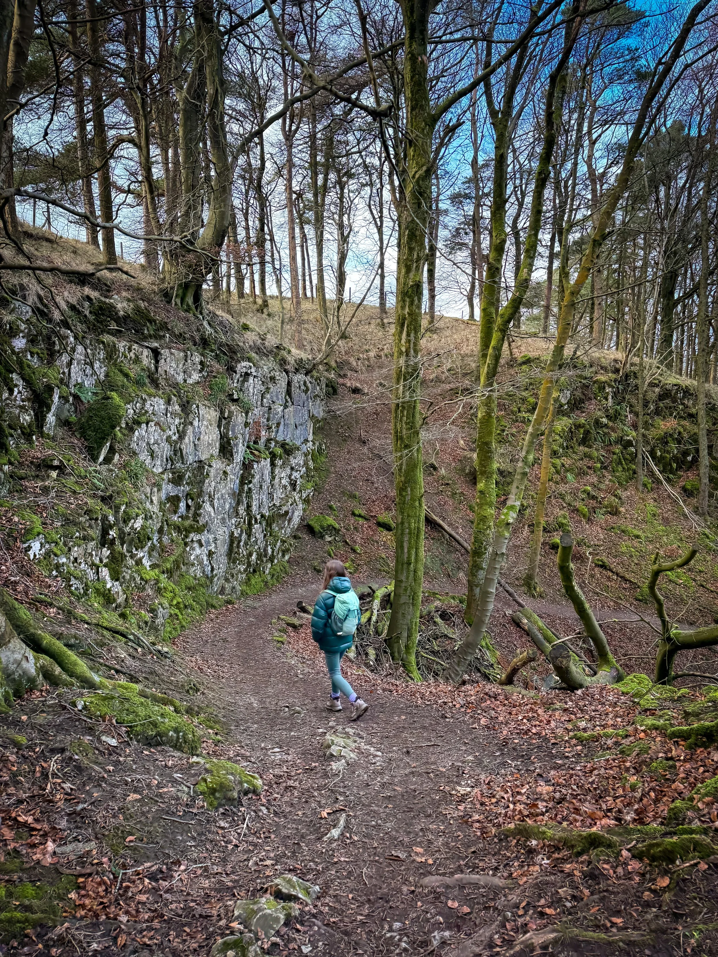 Child walking through woods with winter sun shining through trees
