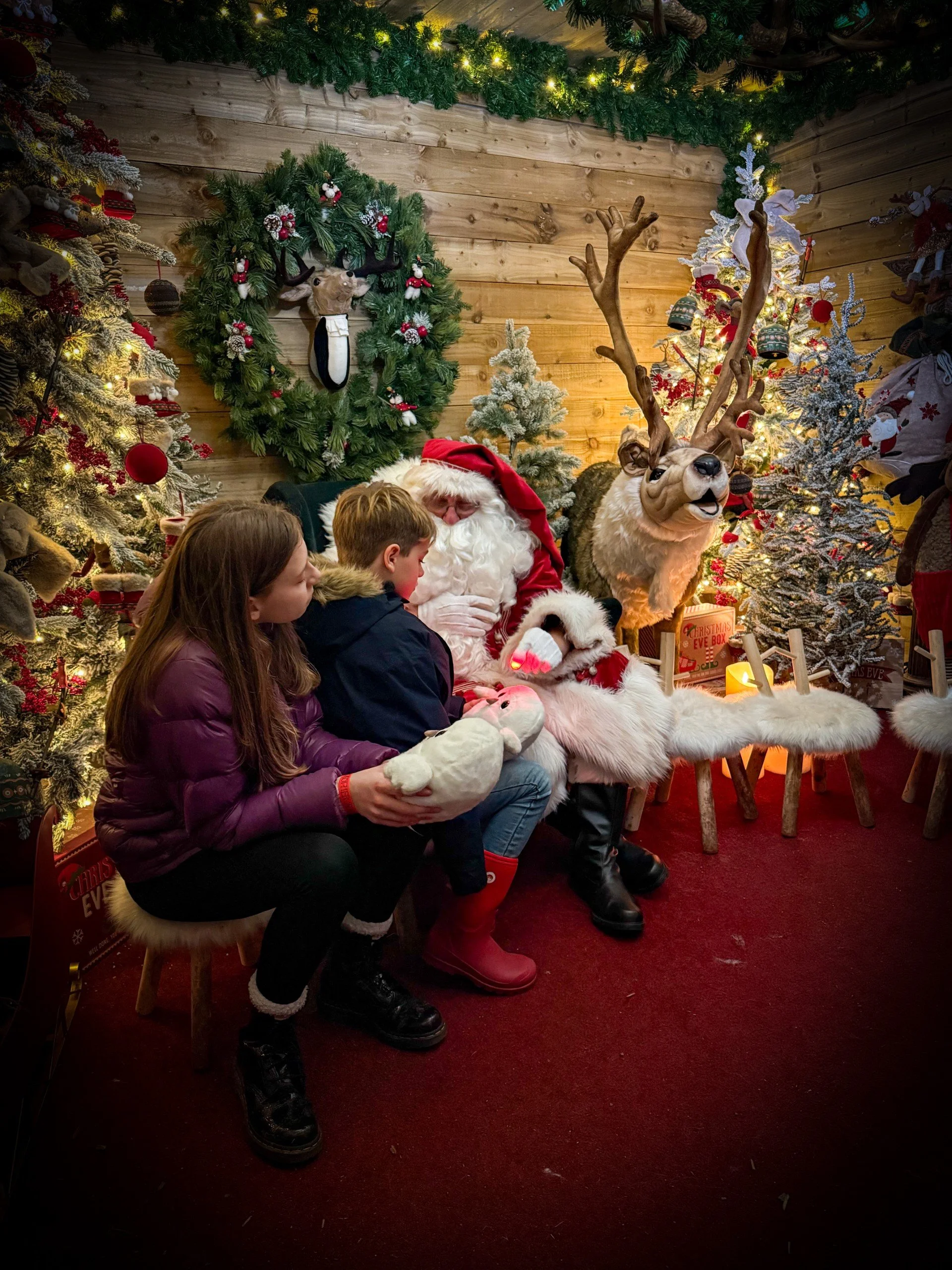 two children sat in a wooden hut with father christmas a reindeer and lots of christmas trees and wreaths with a red carpet