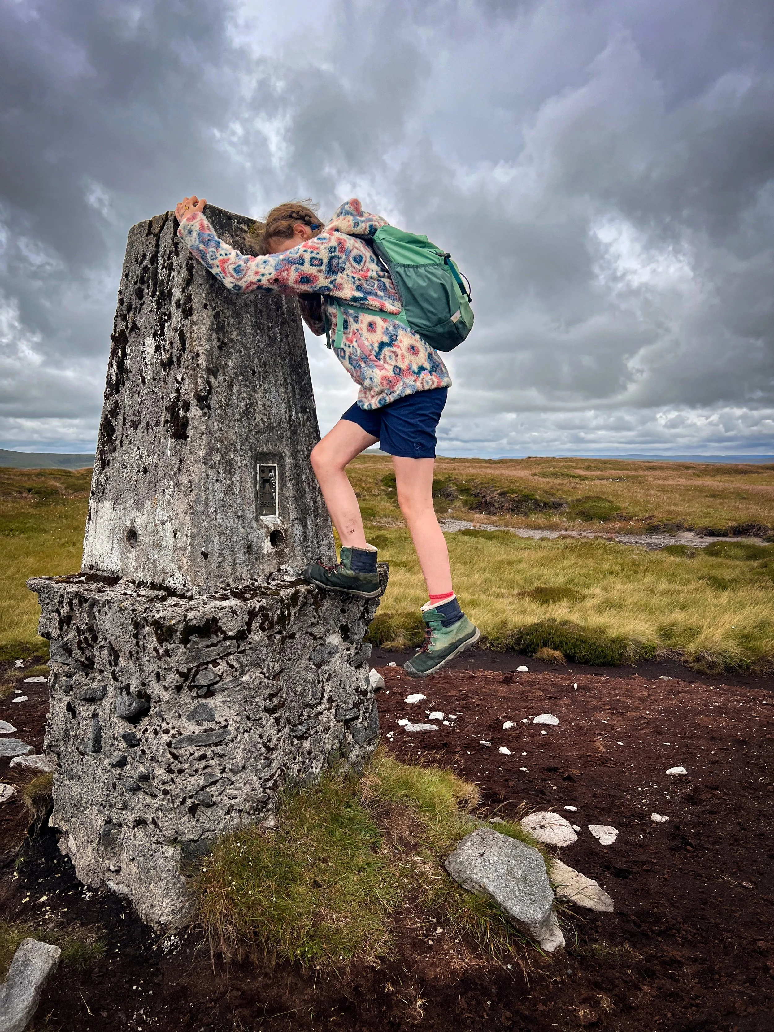Child climbing on a trig