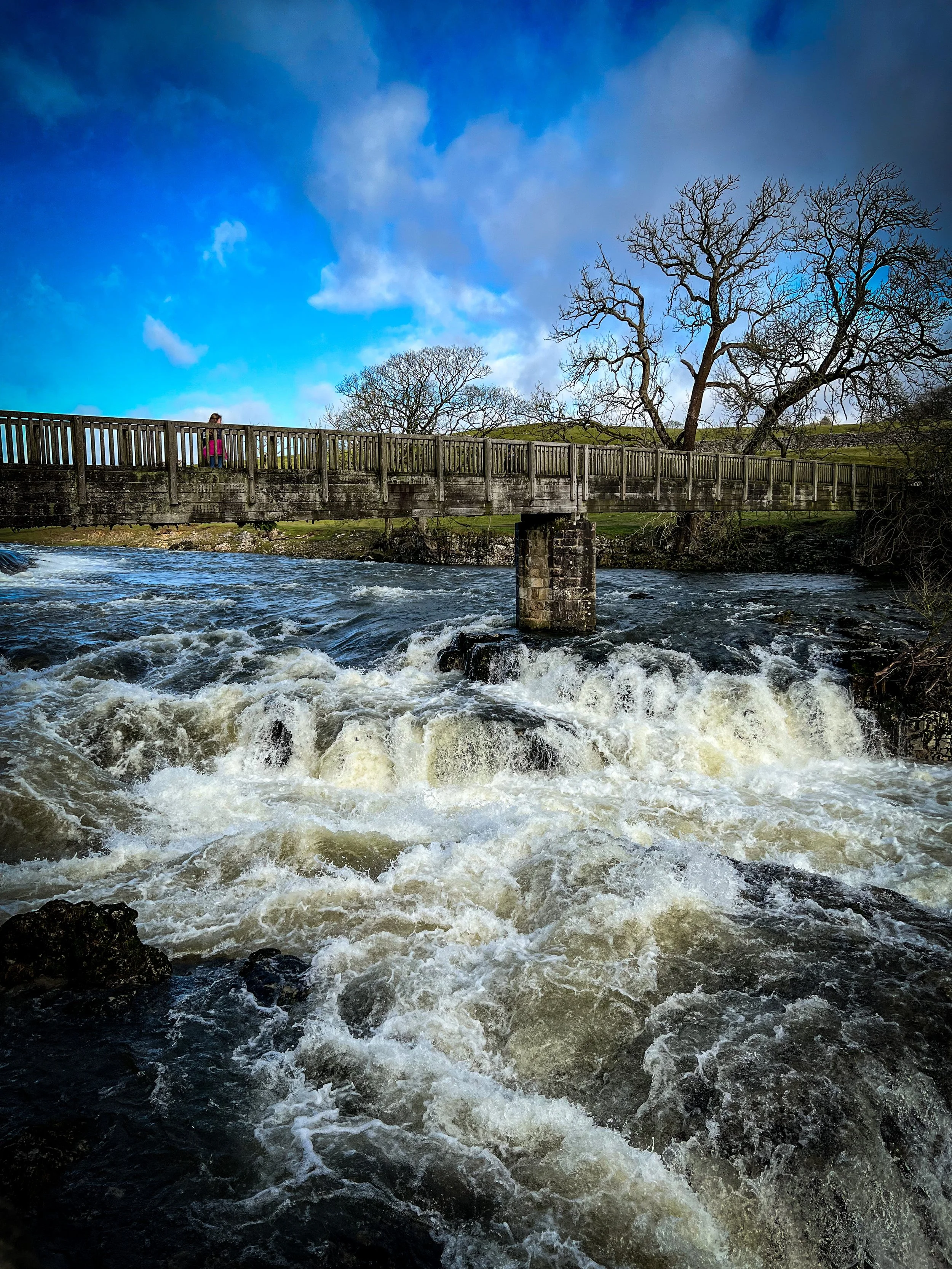 Linton Falls crashing under the footbridge in spate in winter with child walking over bridge