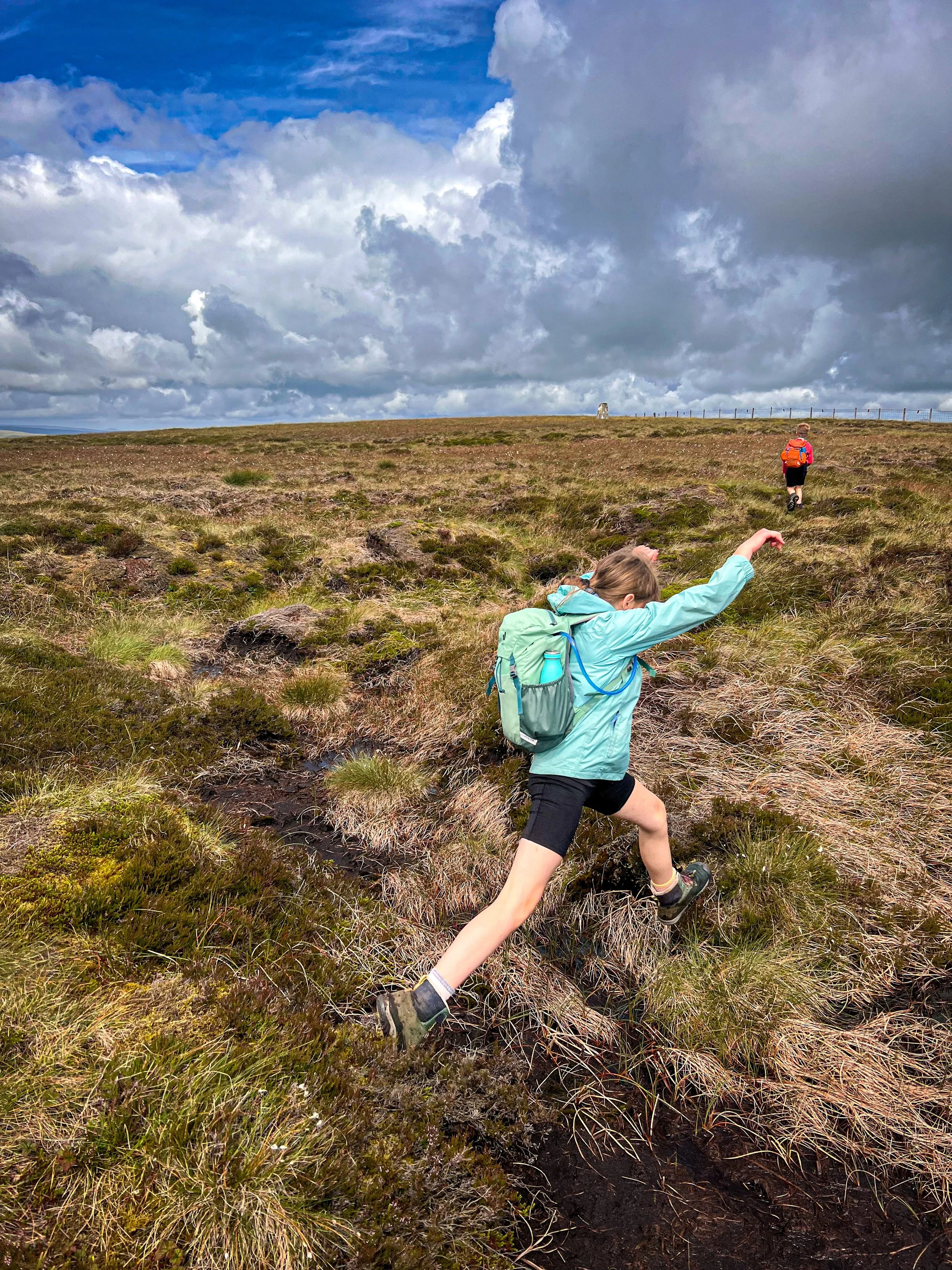 Leaping over the bog