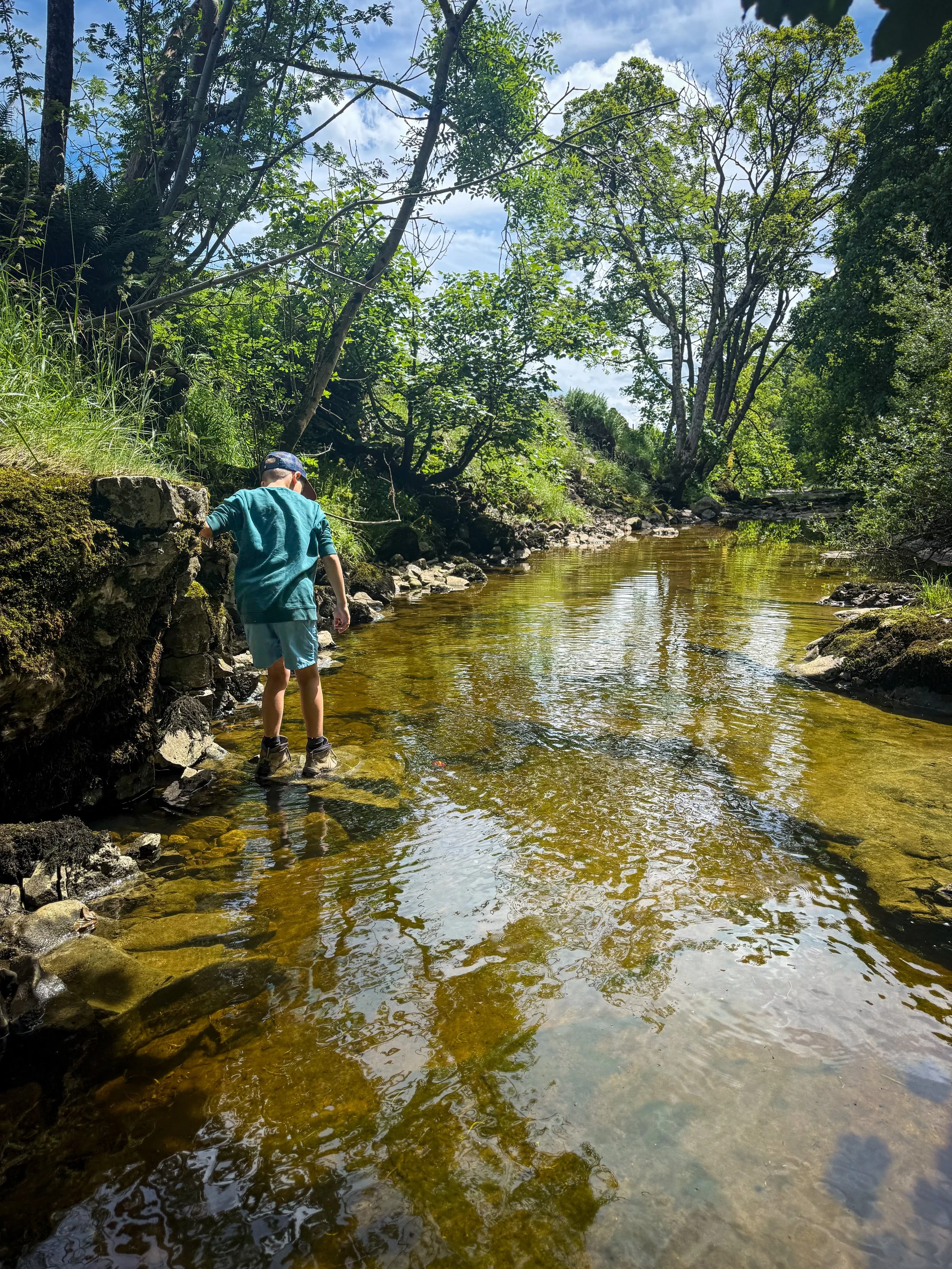 Child standing next to a pool of water on a river with trees lining in the summer