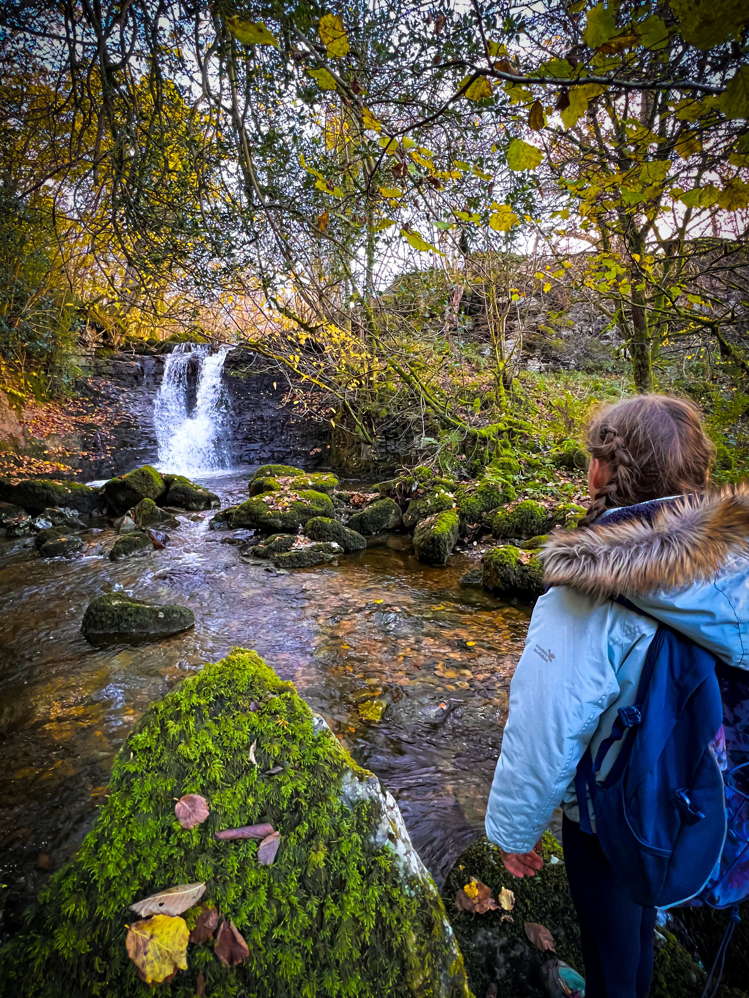Child standing looking at a waterfall in the distance surrounded by autumn trees