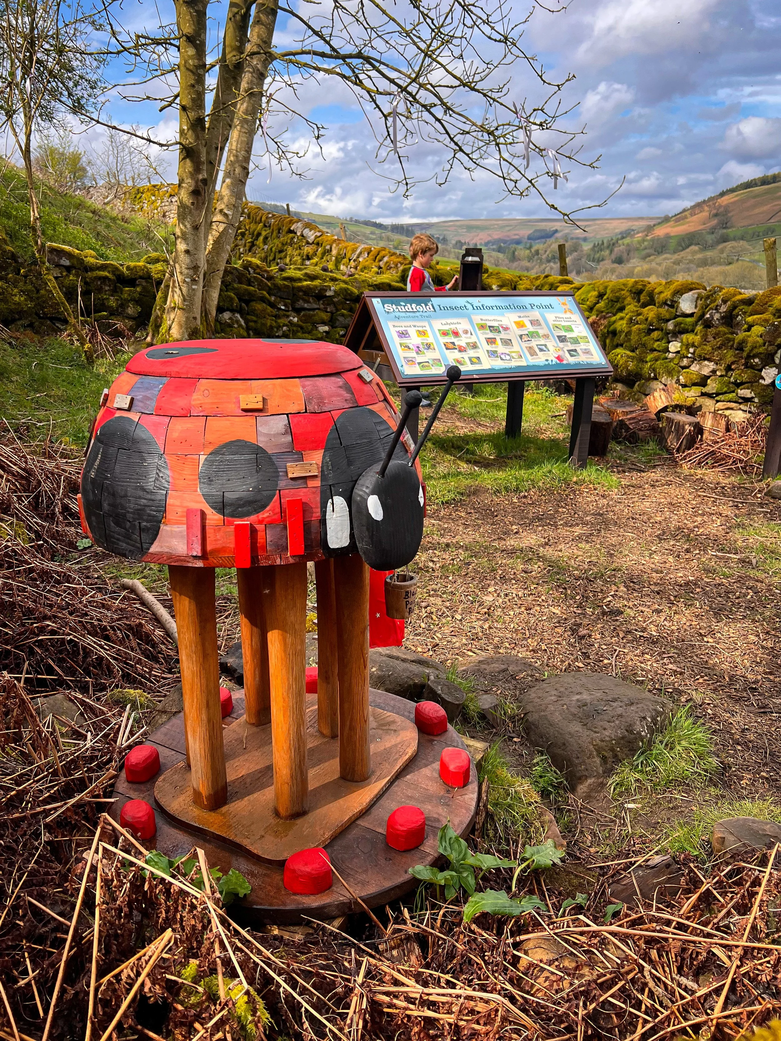 A wooden ladybird in front of a child and information board in the countryside