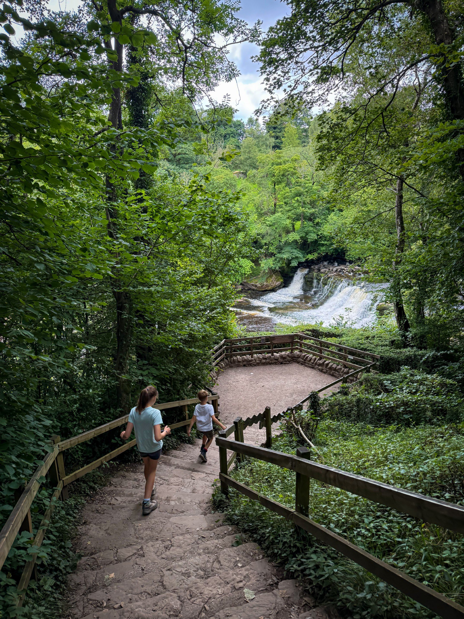 Children walking down the steps to a viewing platform in front of a waterfall in trees