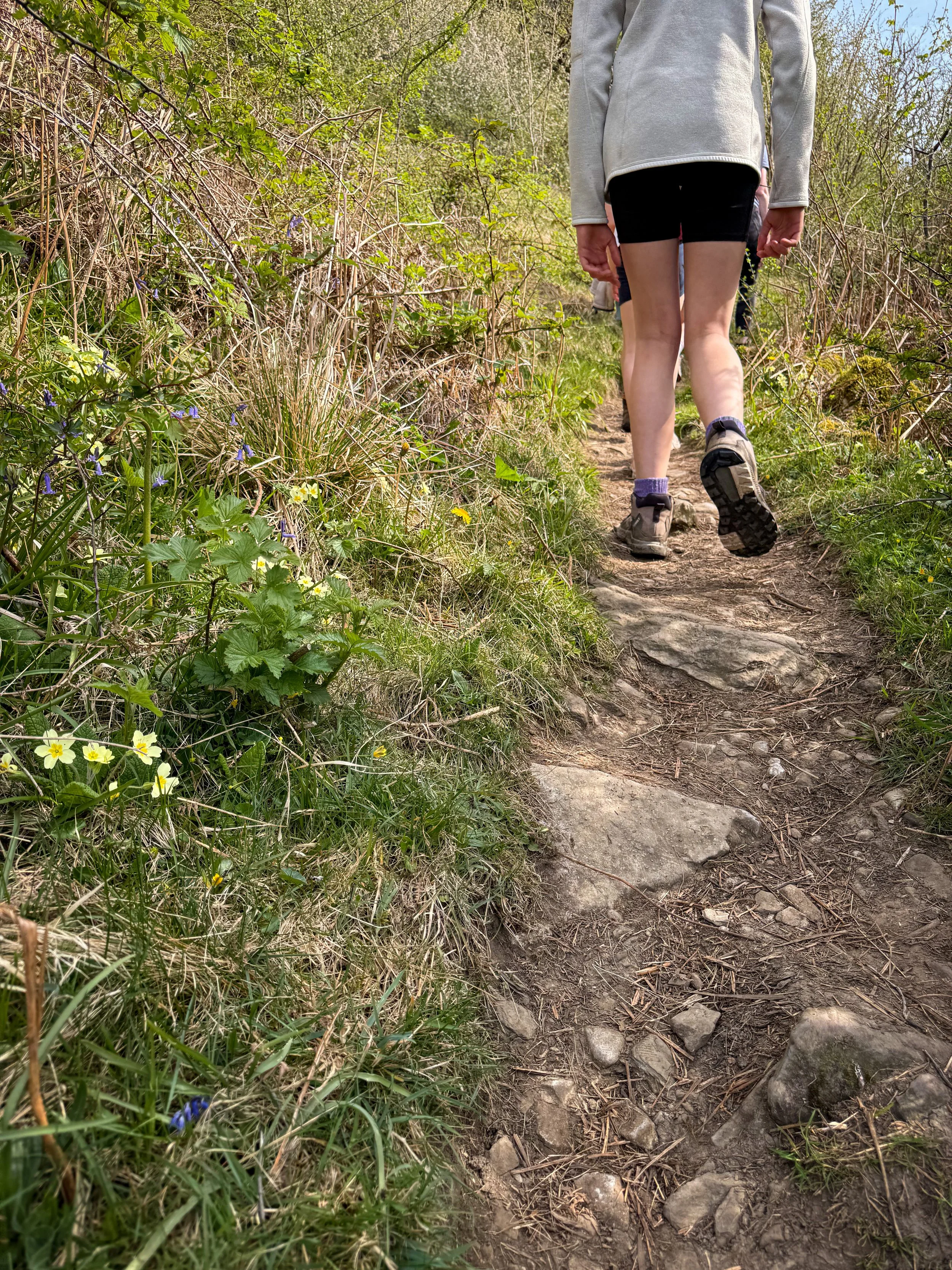 Child walking with bluebells and primroses