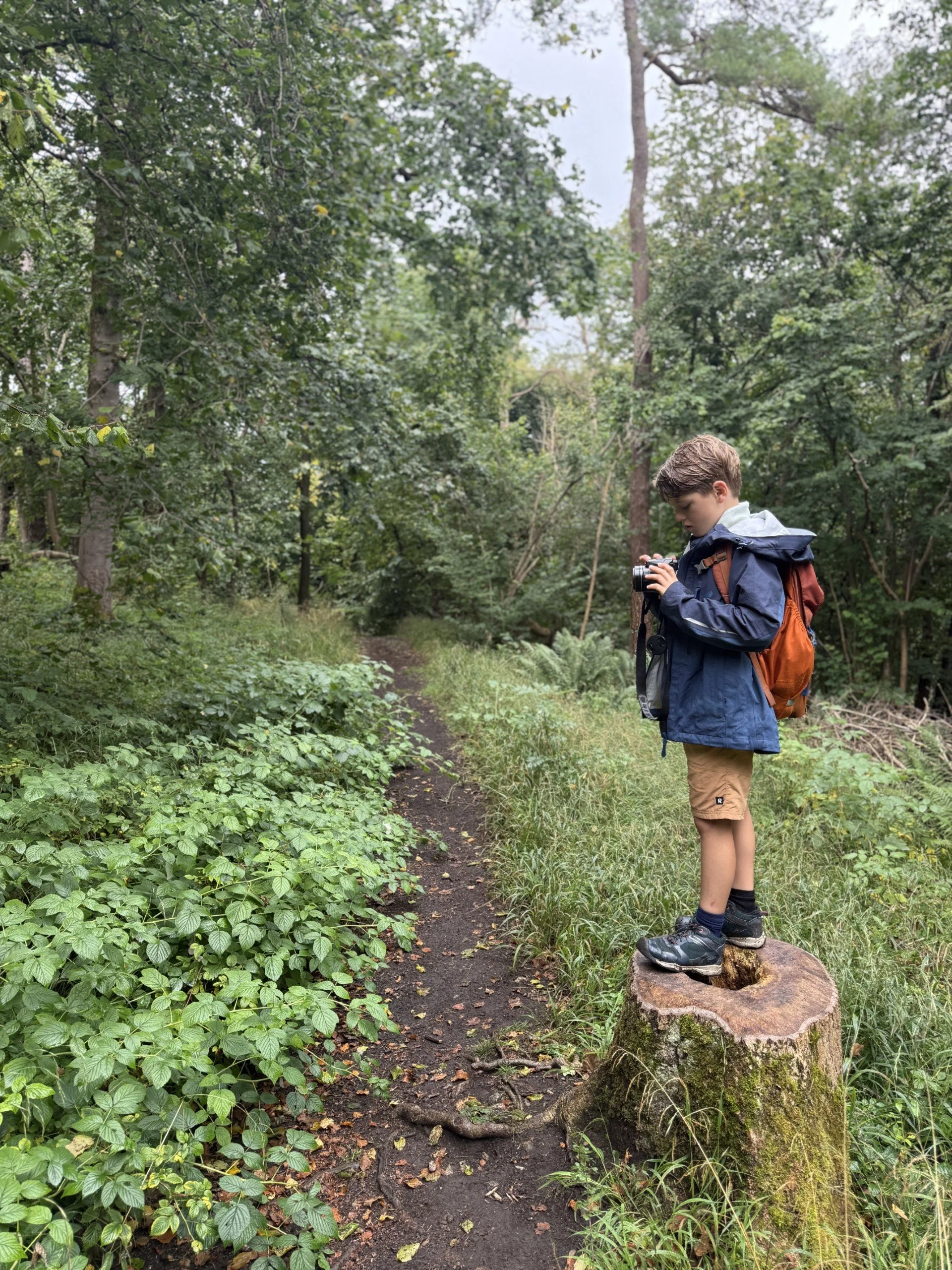 Child standing with camera on tree stump in woods