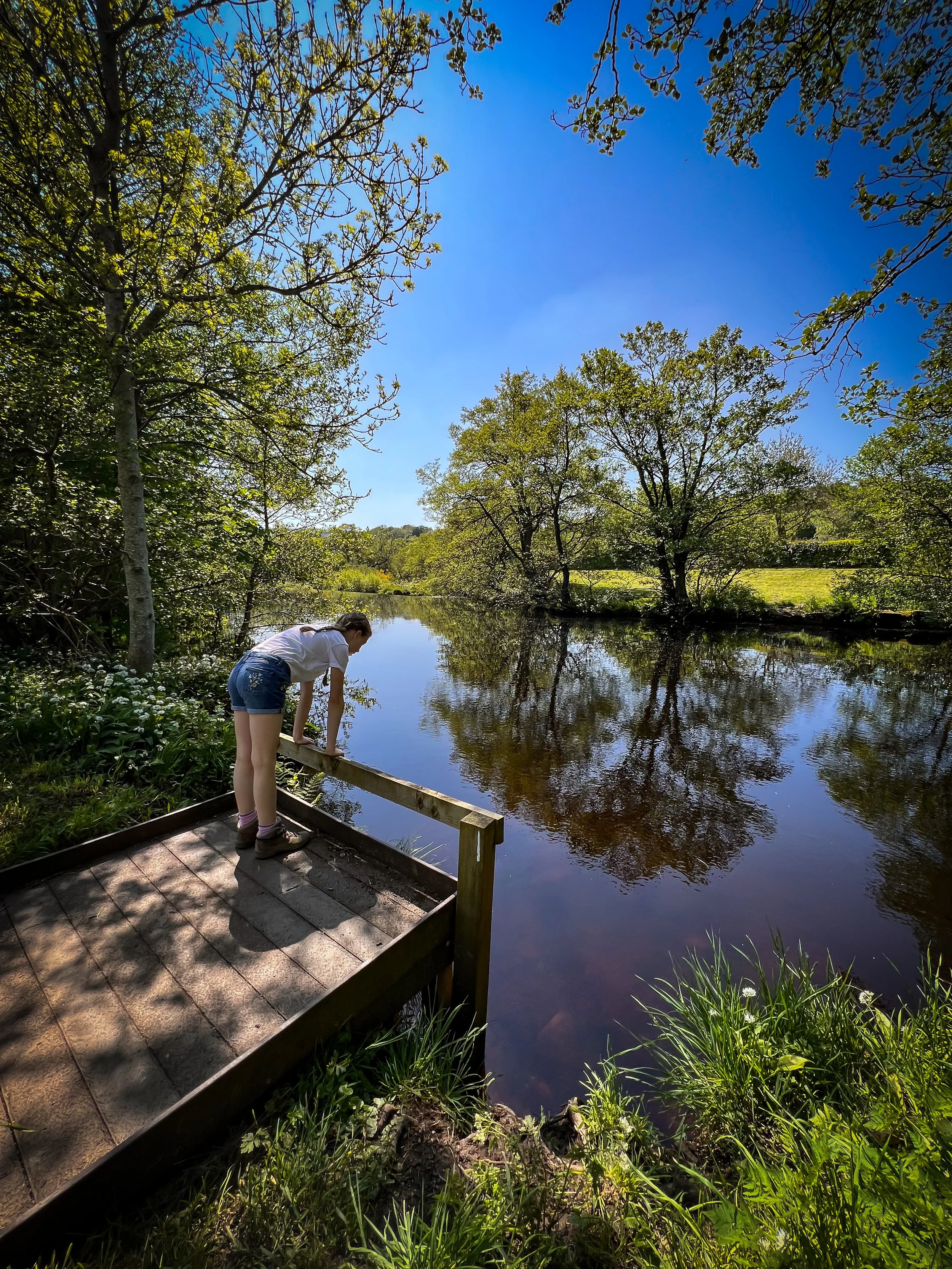 Child looking over fishing platform onto the calm river surface in summer with trees and blue skies