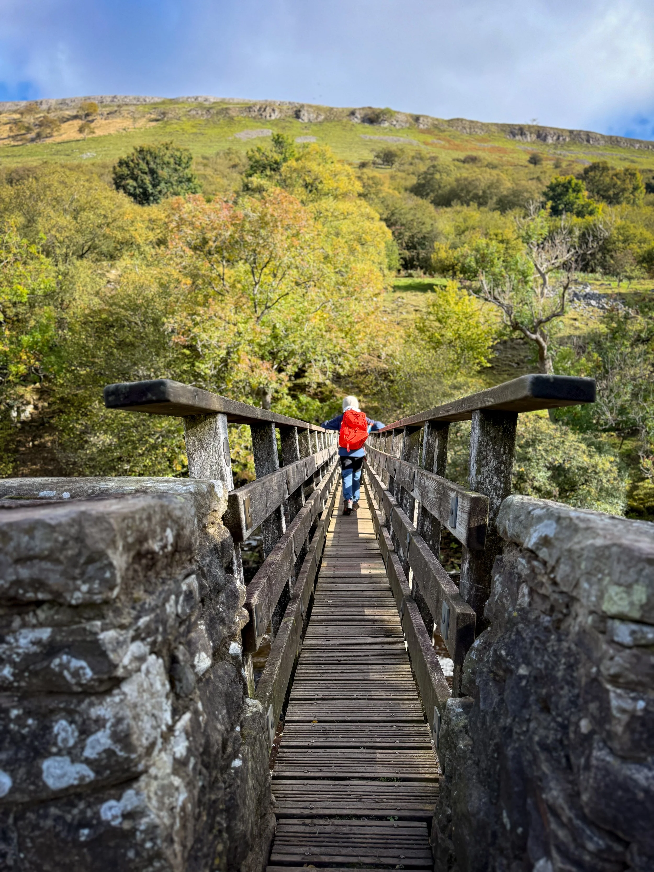 A child walking along a wooden footbridge with autumn trees behind