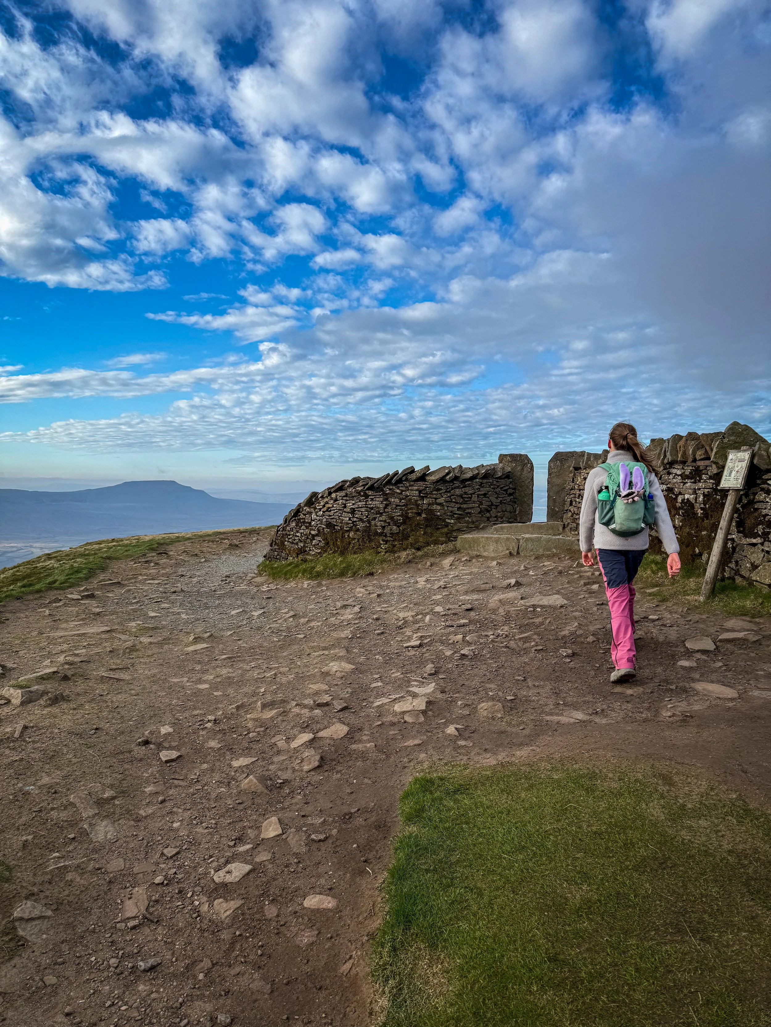 Child walking towards a gap in a dry stone wall with blue skies above and Ingleborough in the distance