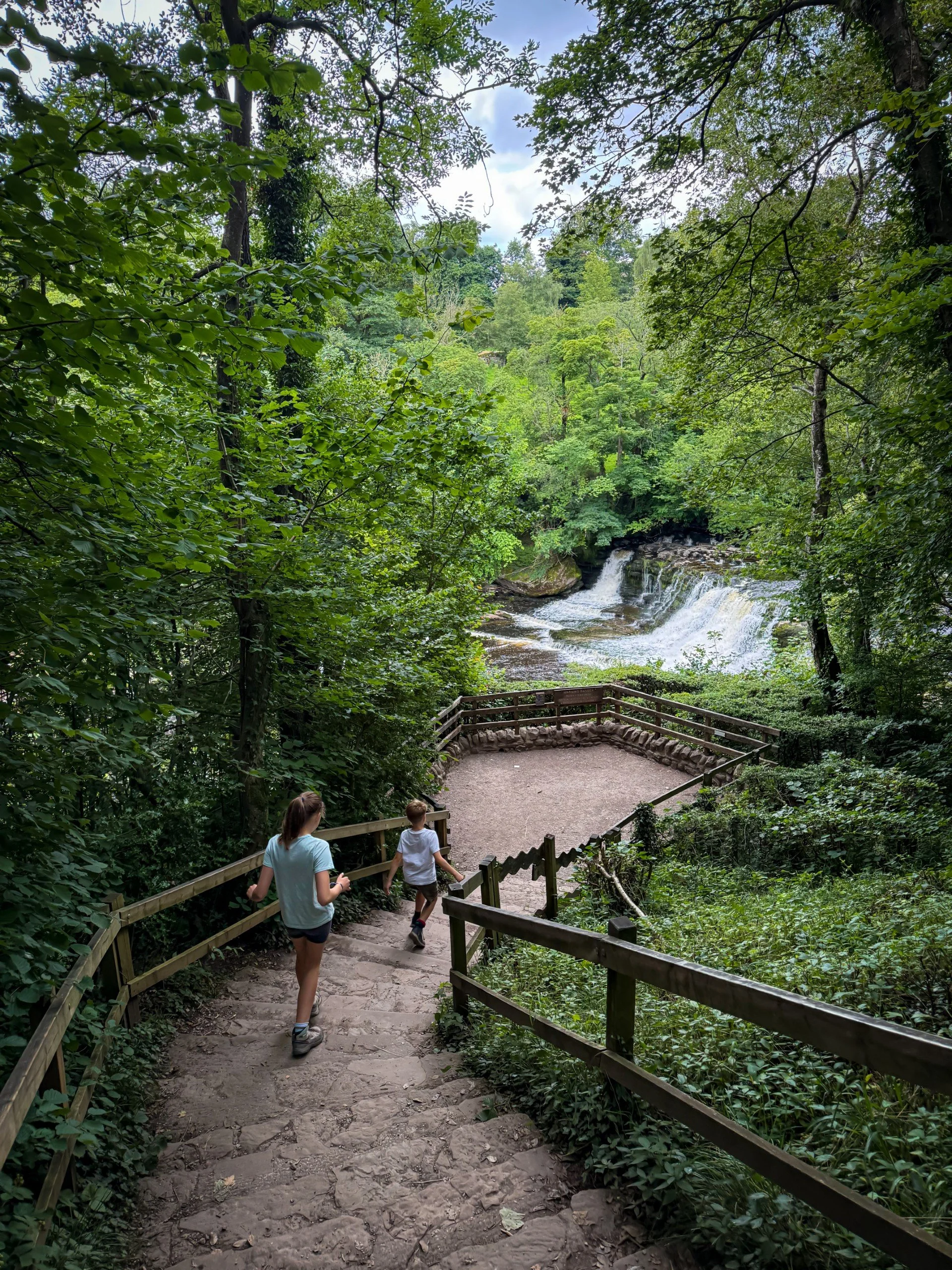 Children walking down steps towards a waterfall surrounded