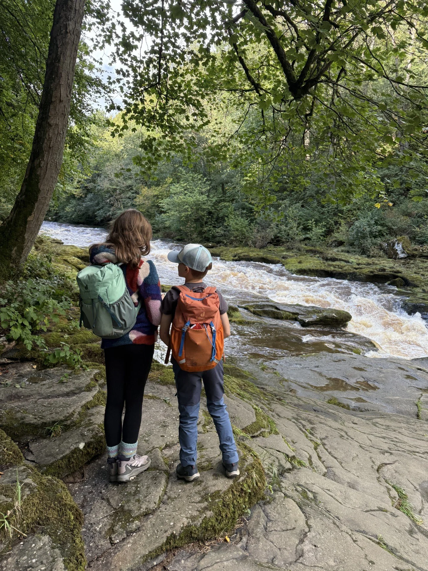 Two children standing looking at the water of  the strid surrounded by woods