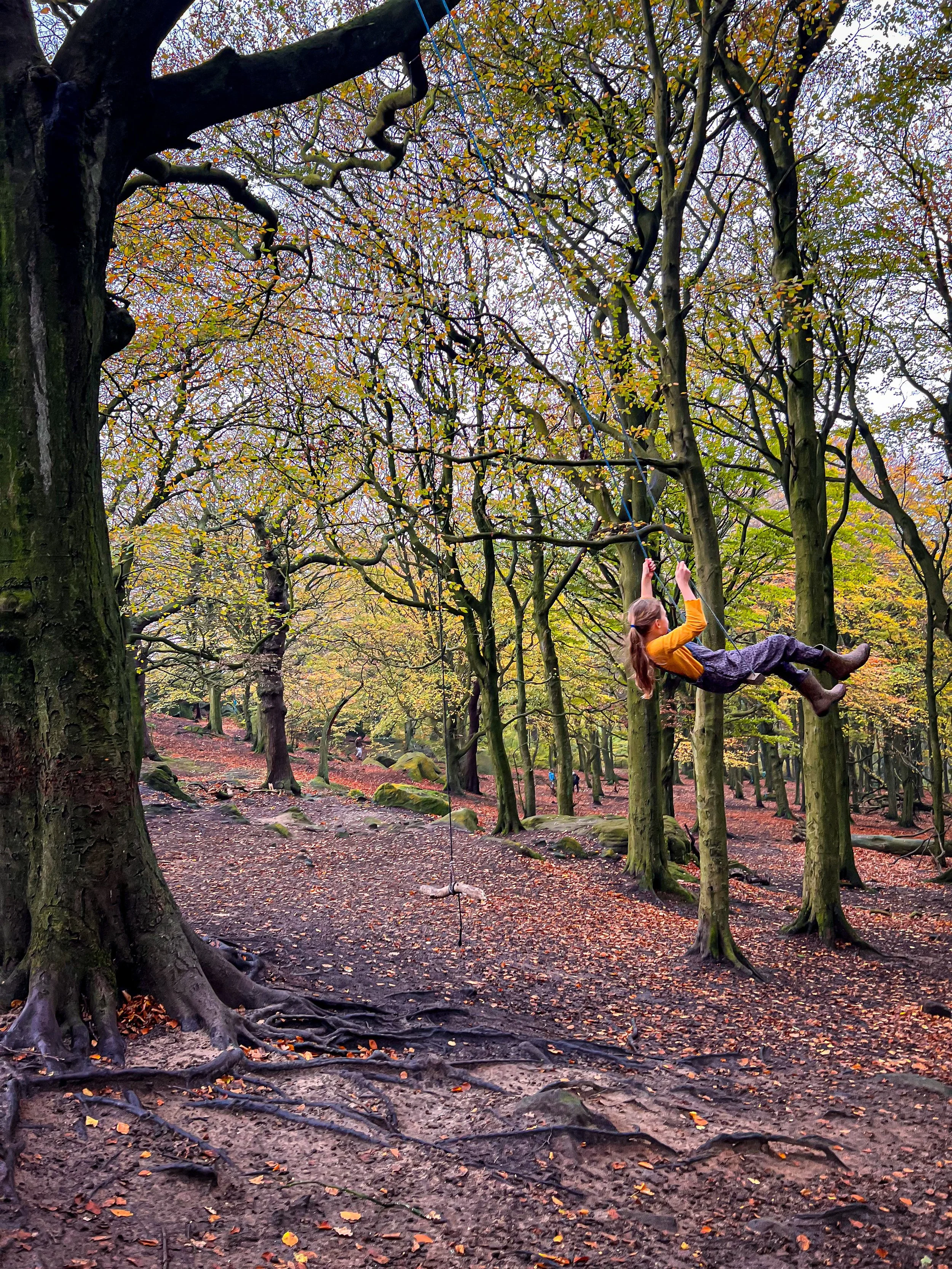 Swinging on the swing on Otley Chevin