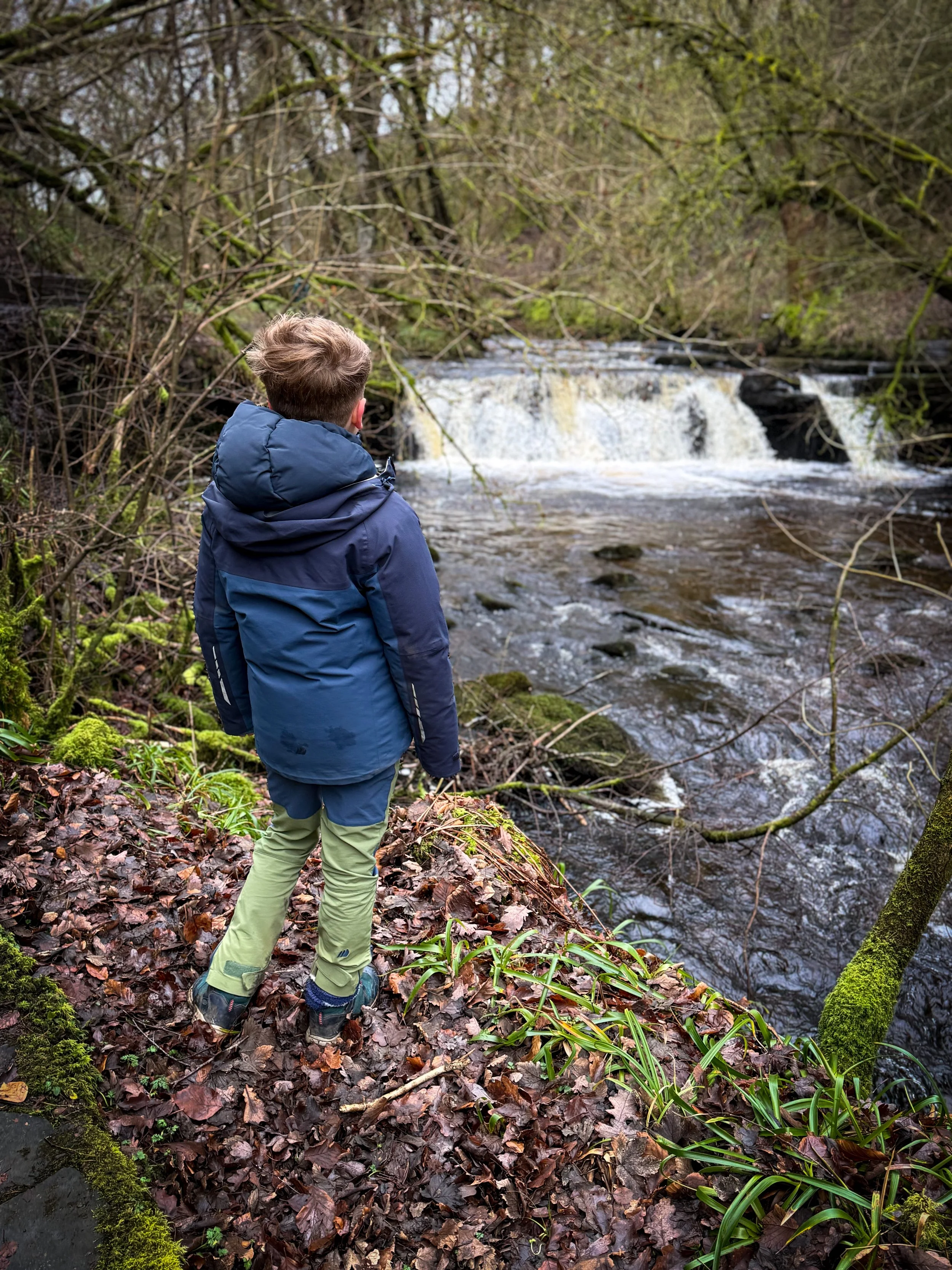 Child standing looking at a waterfall in winter in woods