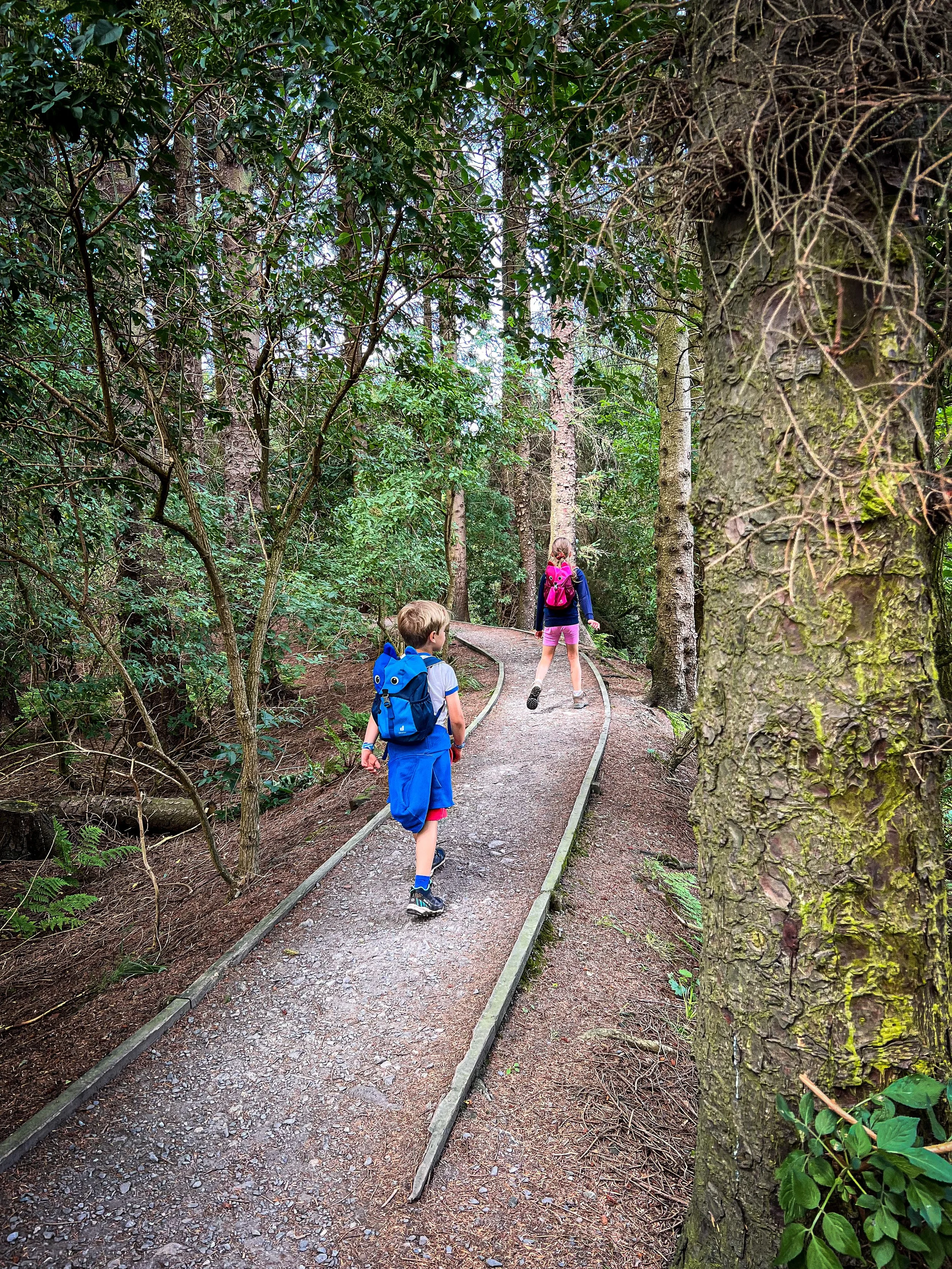 Children walking along a clear path though woodland