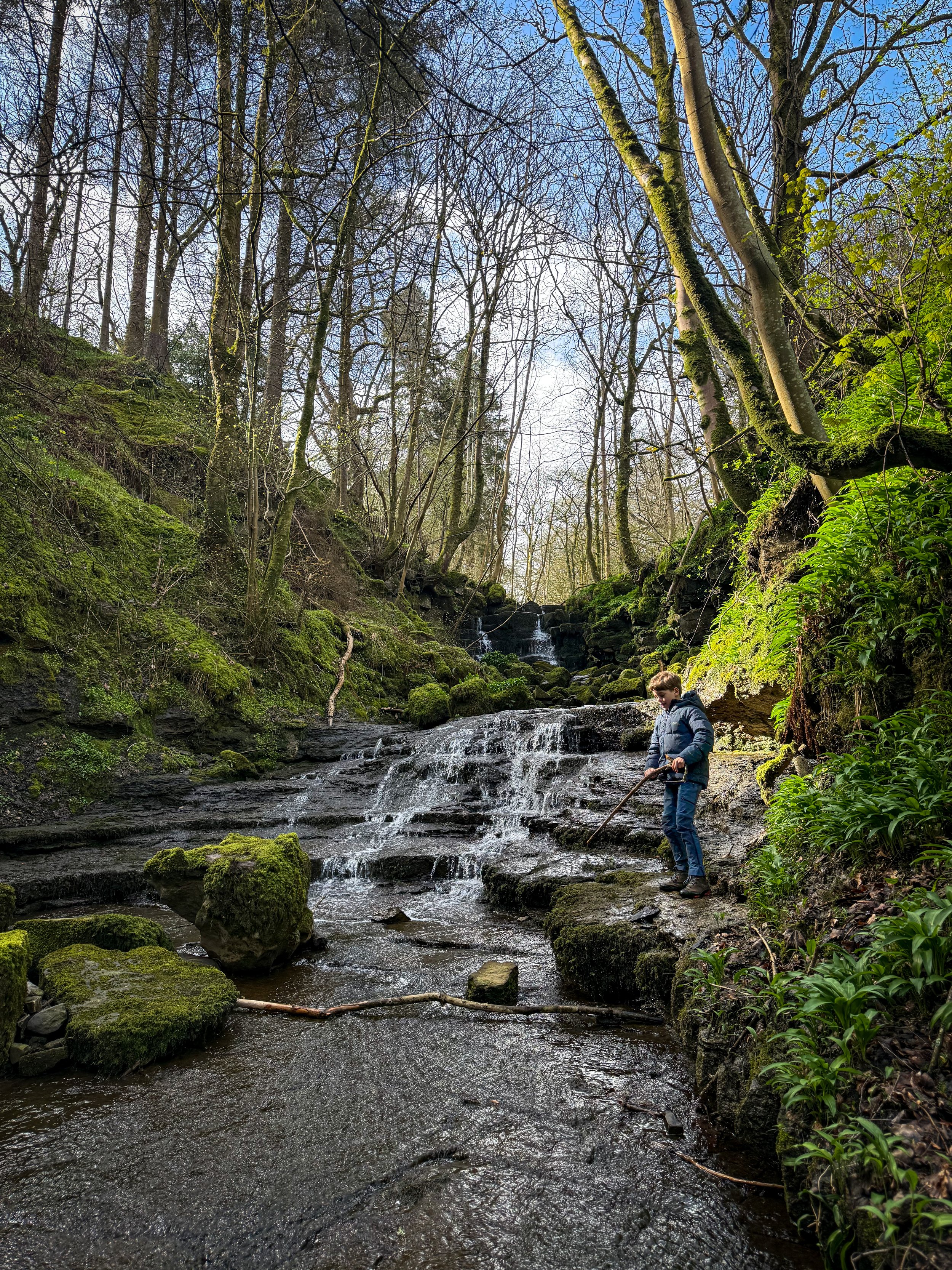 Child standing next to a waterfall in a green lush wooded gorge