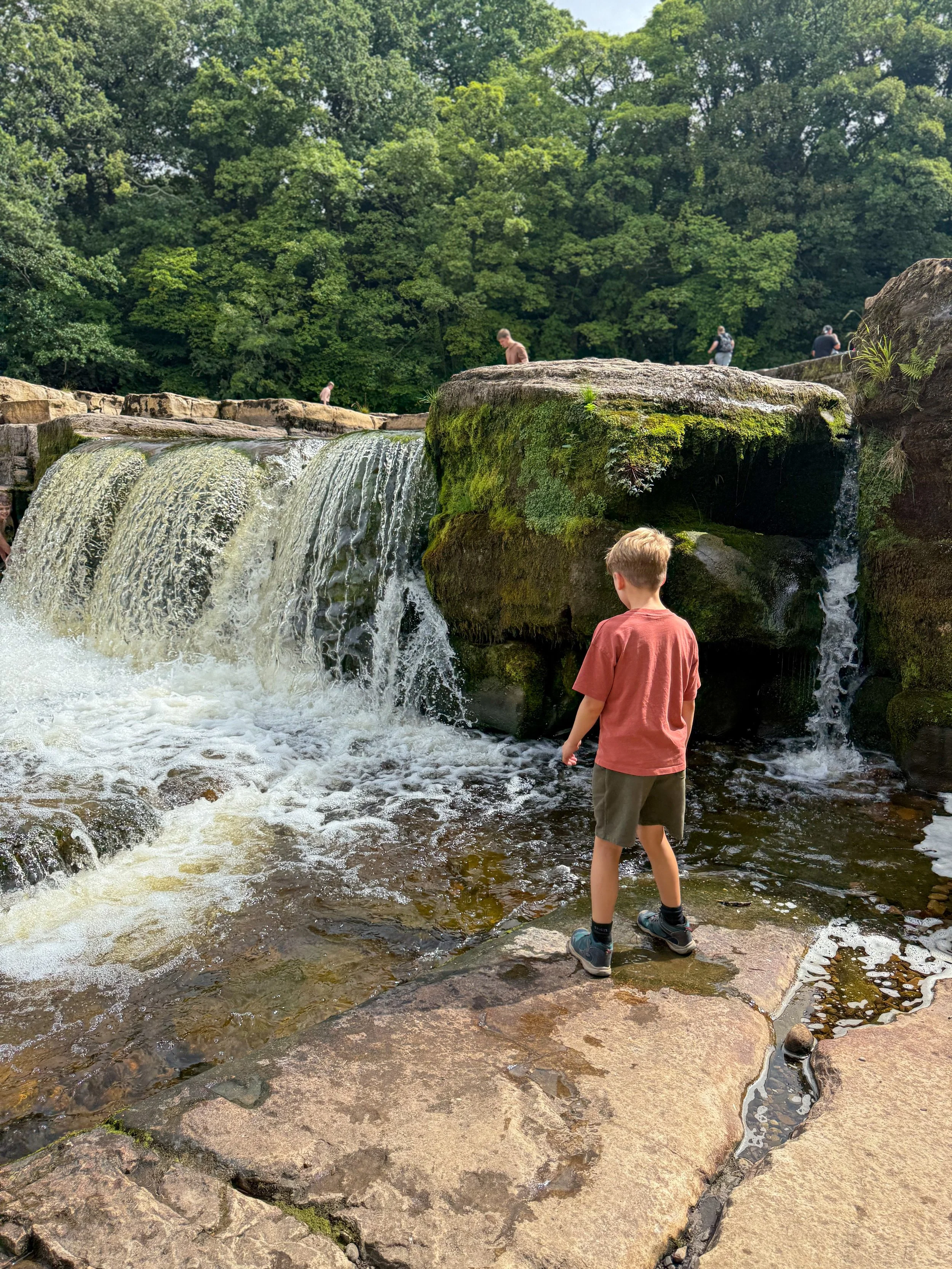 A waterfall with a child stood in front and trees above