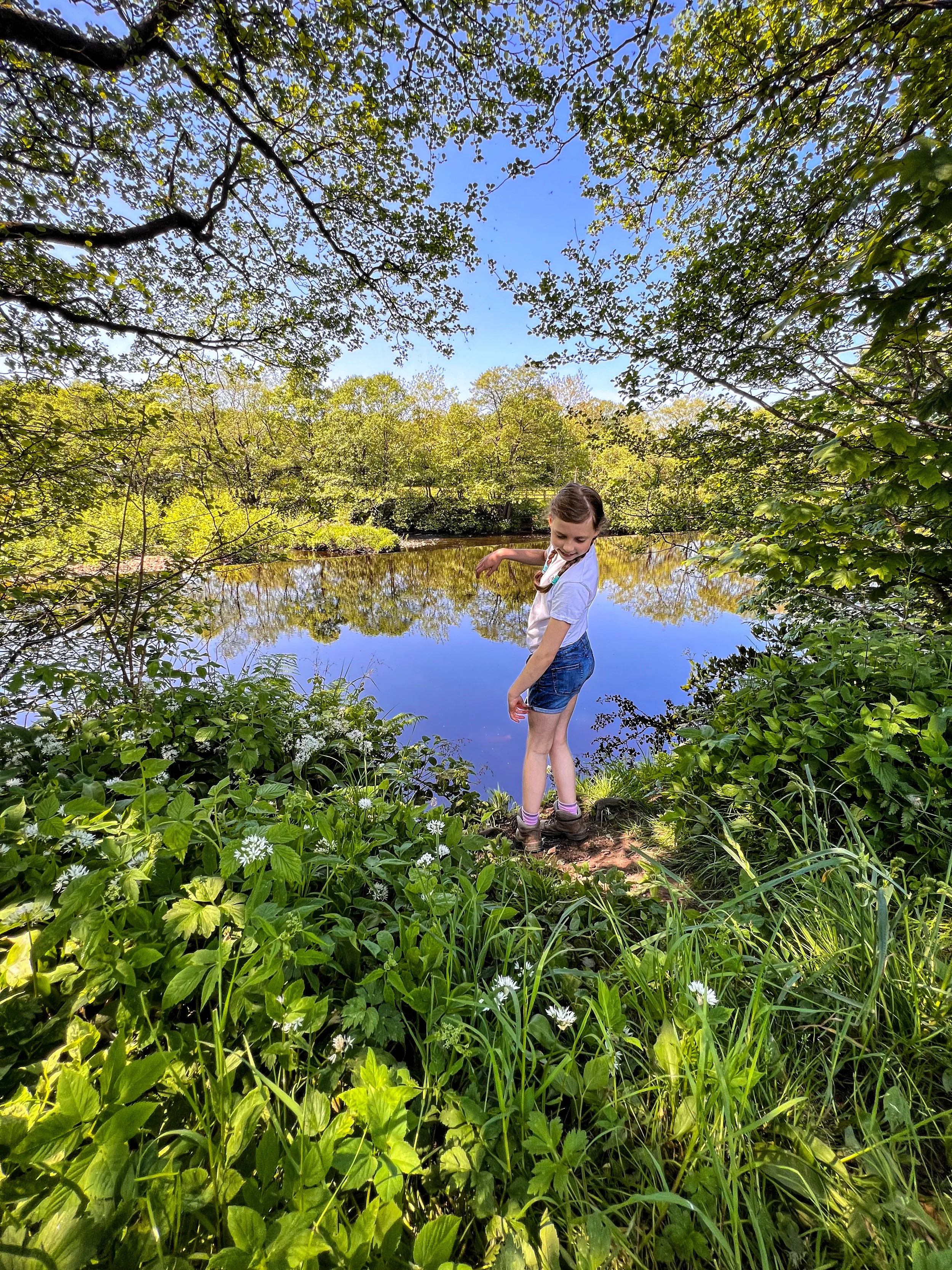 child standing next to a river which is reflecting the blue sky with trees in early spring