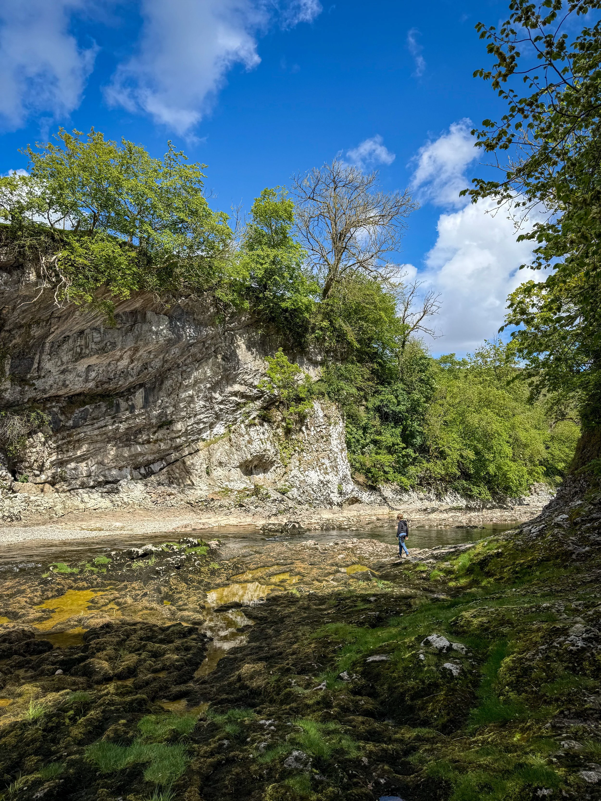 Loup Scar limestone cliffs aside a river with a child walking underneath them under blue sunny skies