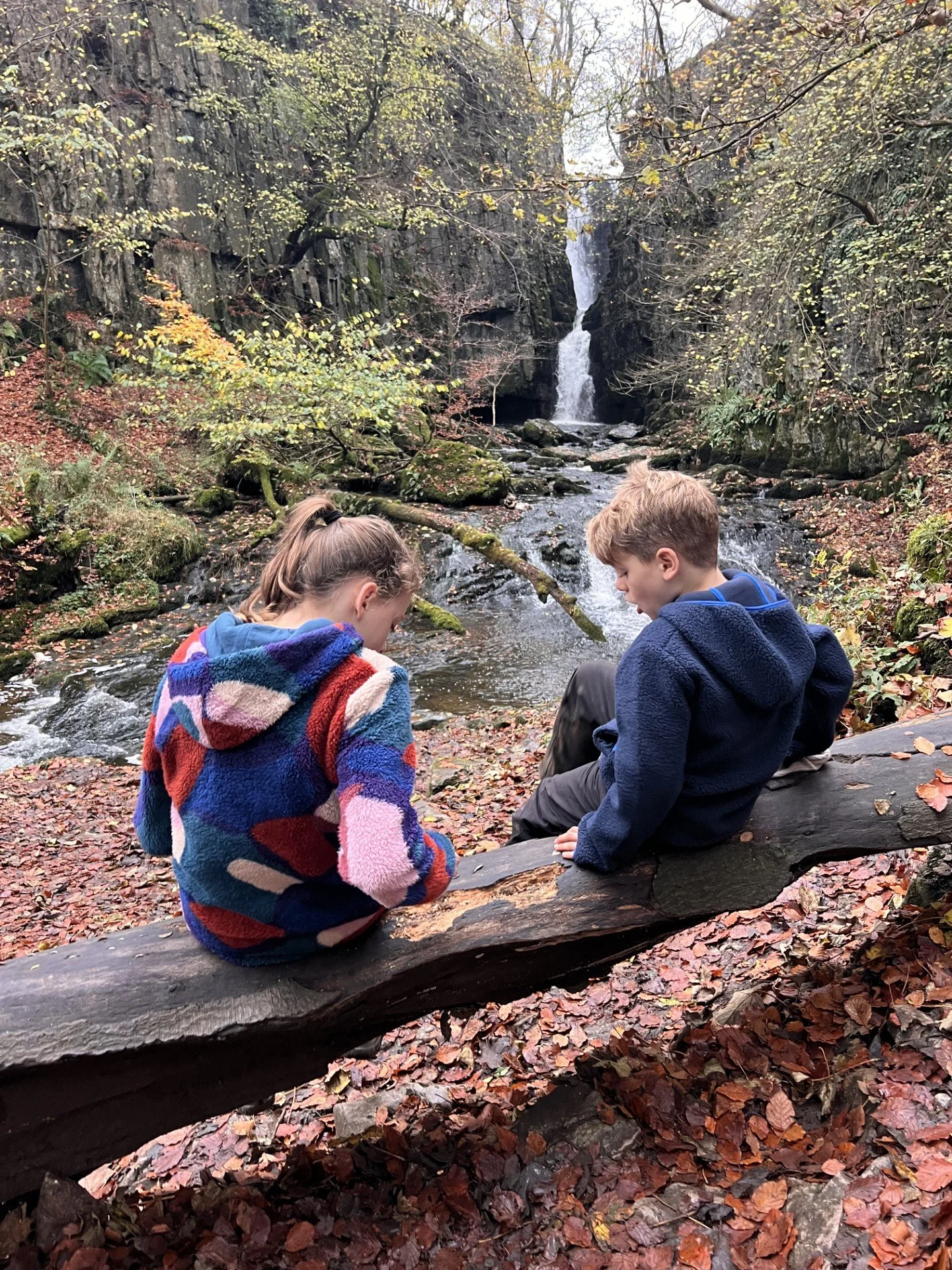 Two children sat on a tree trunk surrounded by autumn foliage with a waterfall in the distance