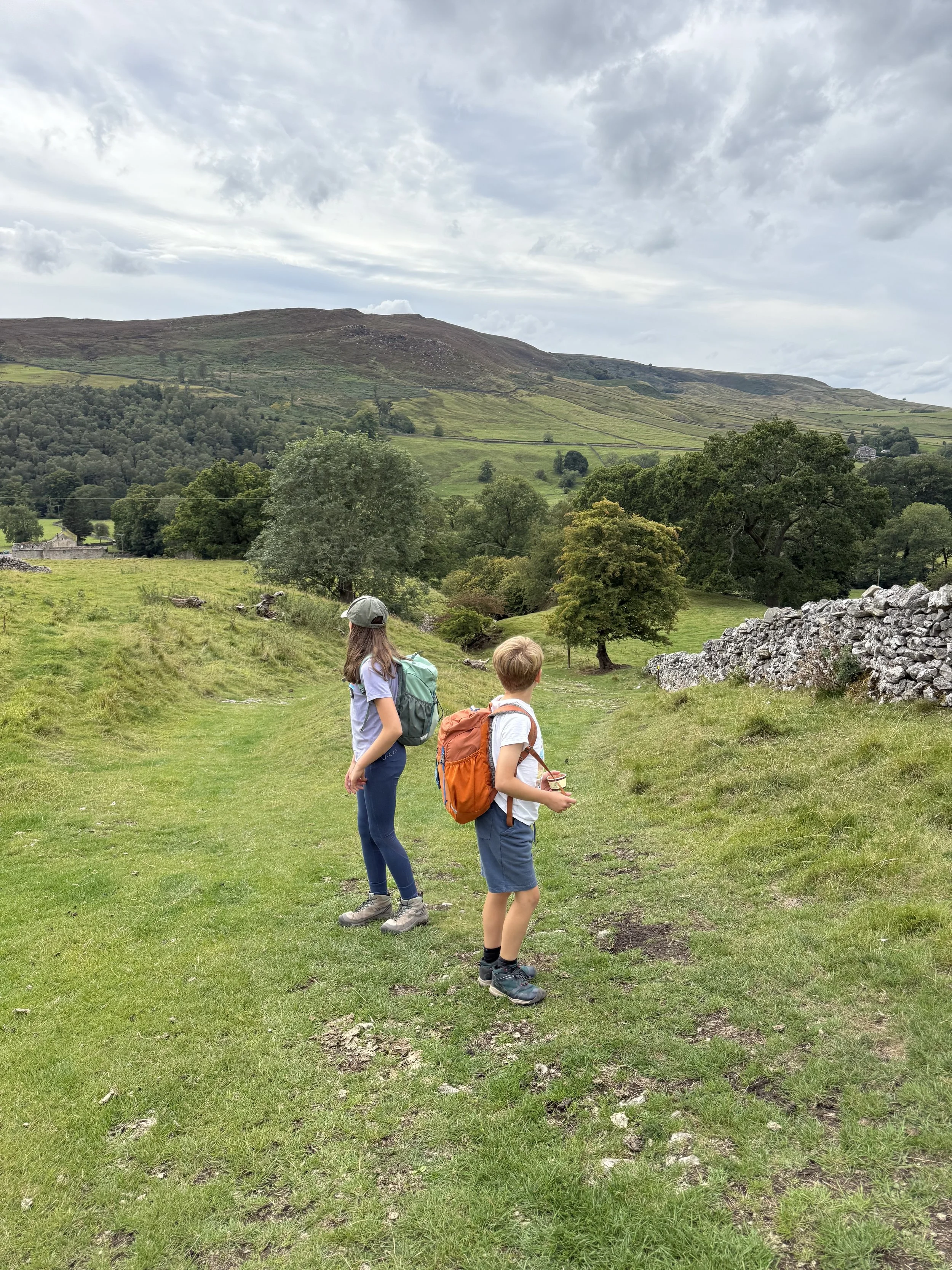 Two children standing on a hillside looking at a moor in the distance