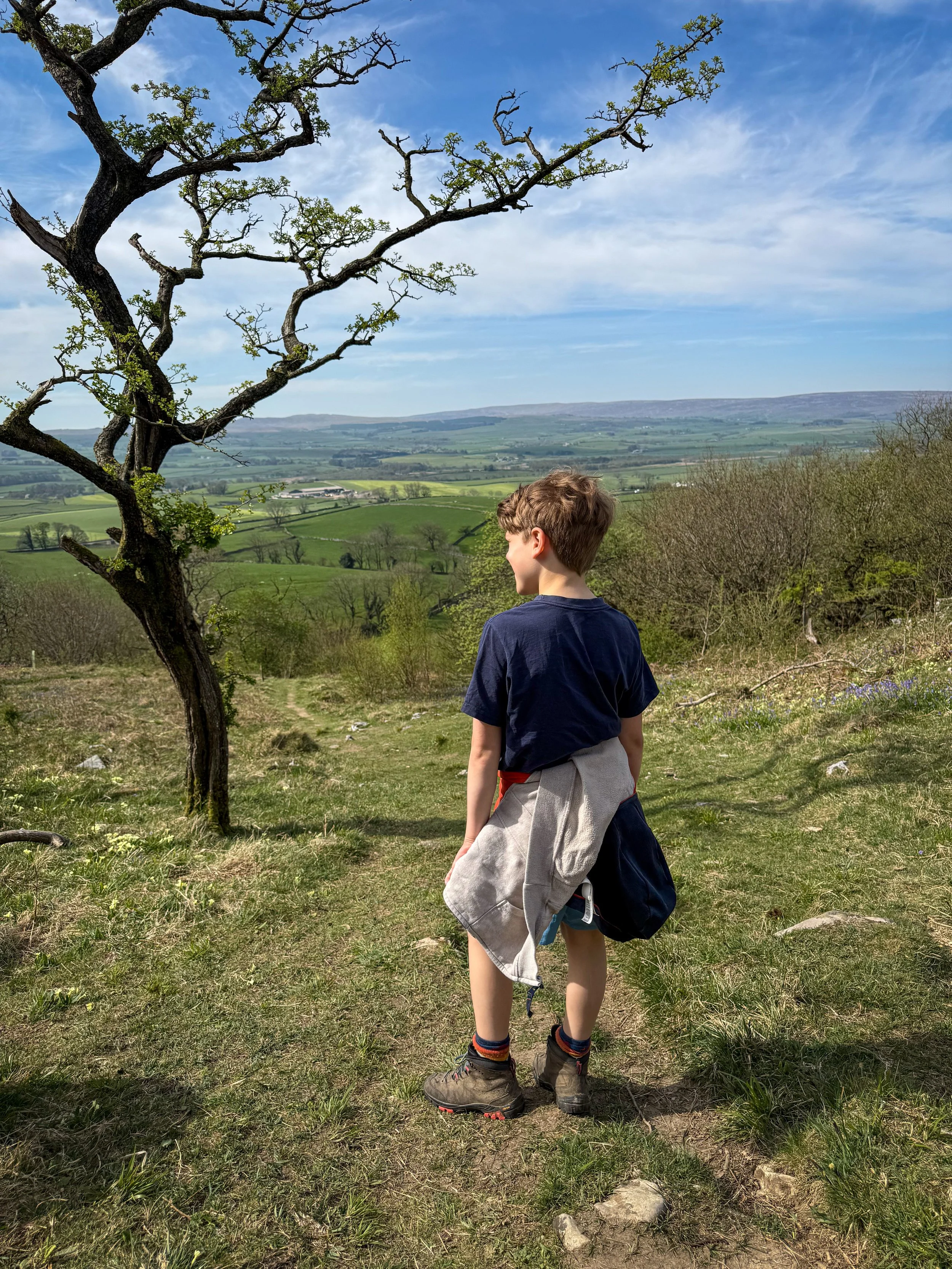 Child standing next to a tree looking out at a view from a hill across fields ahead